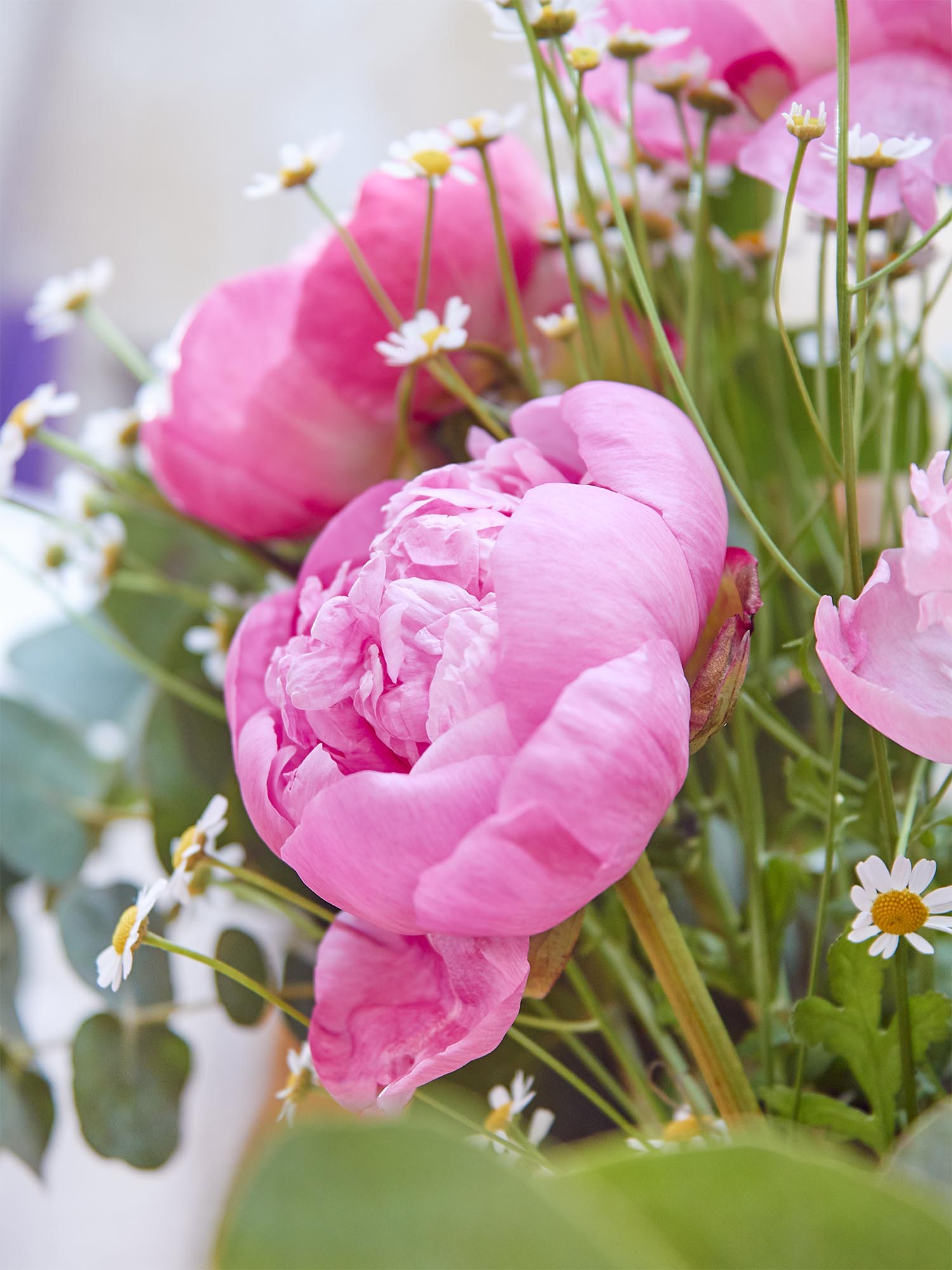 blumigo-pink-lady-diy-bouquet-blumenstrau-rosa image 3