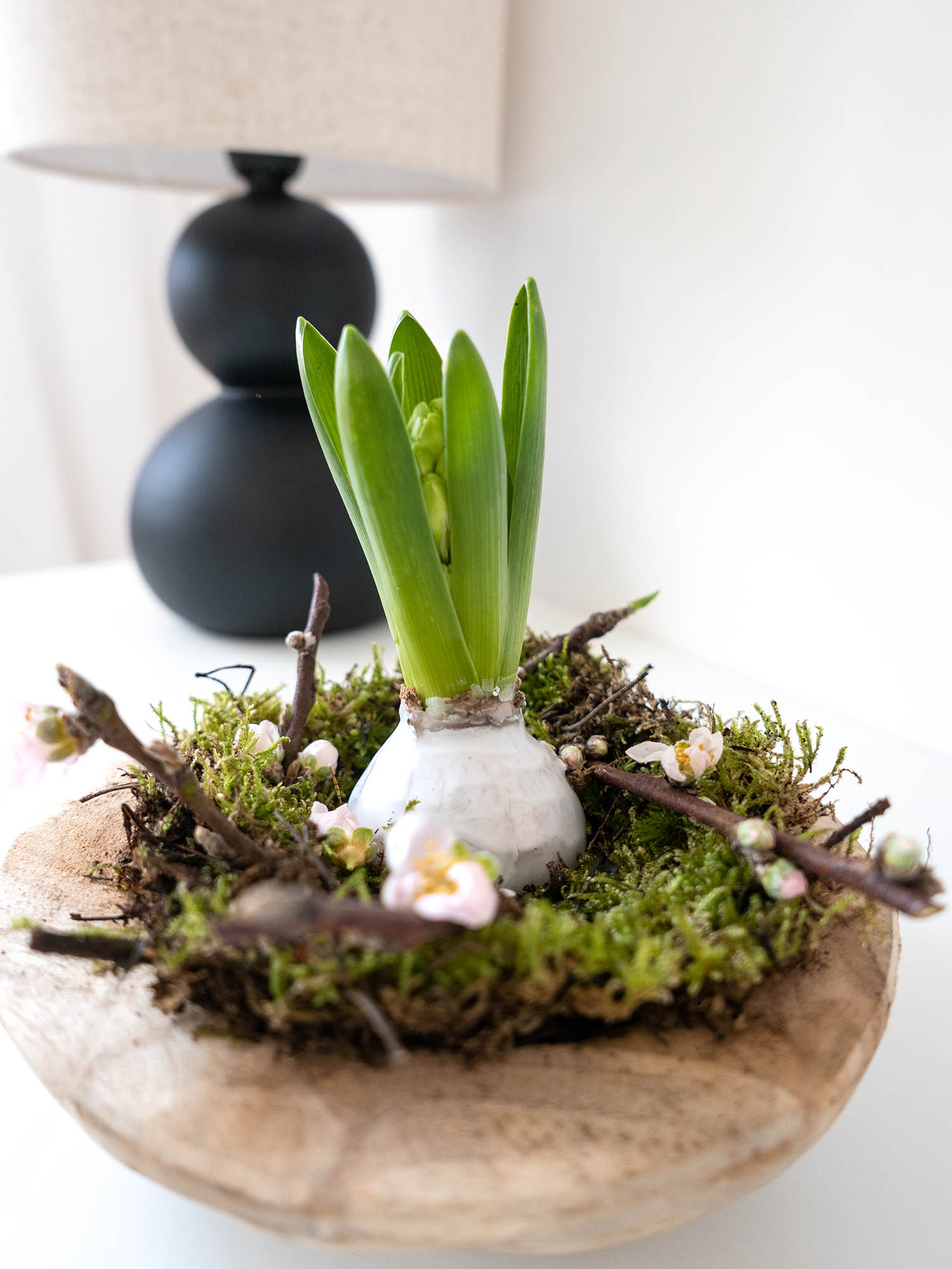 blumigo-fr-hlingsknollen-gewachste-hyazinthe-wei-duftend image 8