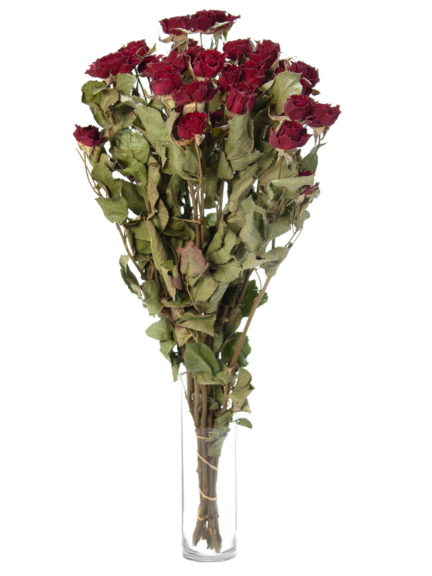 blumigo-verzweigte-rosen-trockenblumen-getrocknet-dunkelrot image 2
