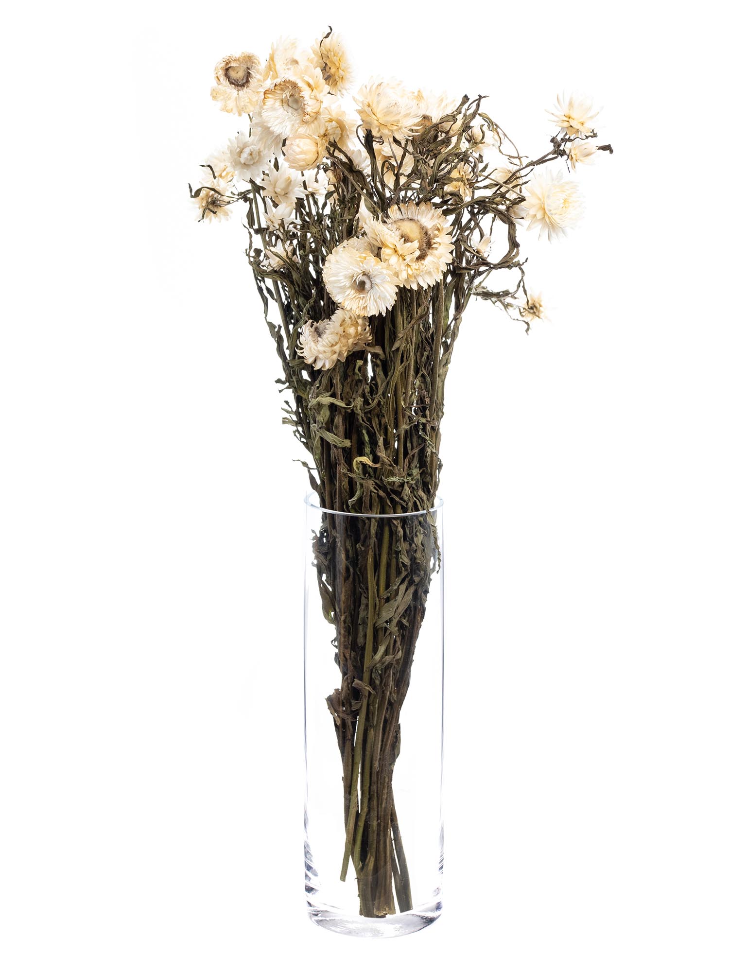 blumigo-trockenblumen-strohblume-wei-creme-getrocknet image 2