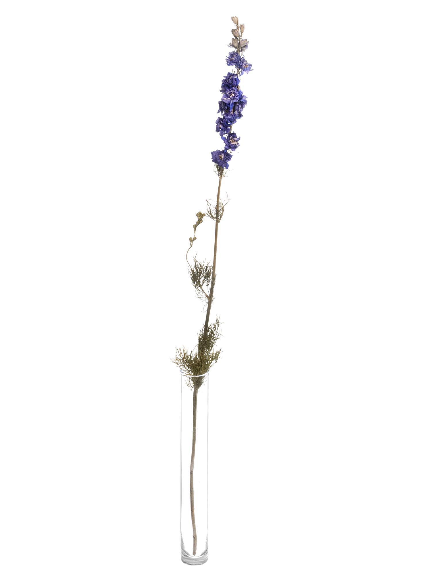 blumigo-trockenblumen-rittersporn-delphinium-getrocknet-blau image 3
