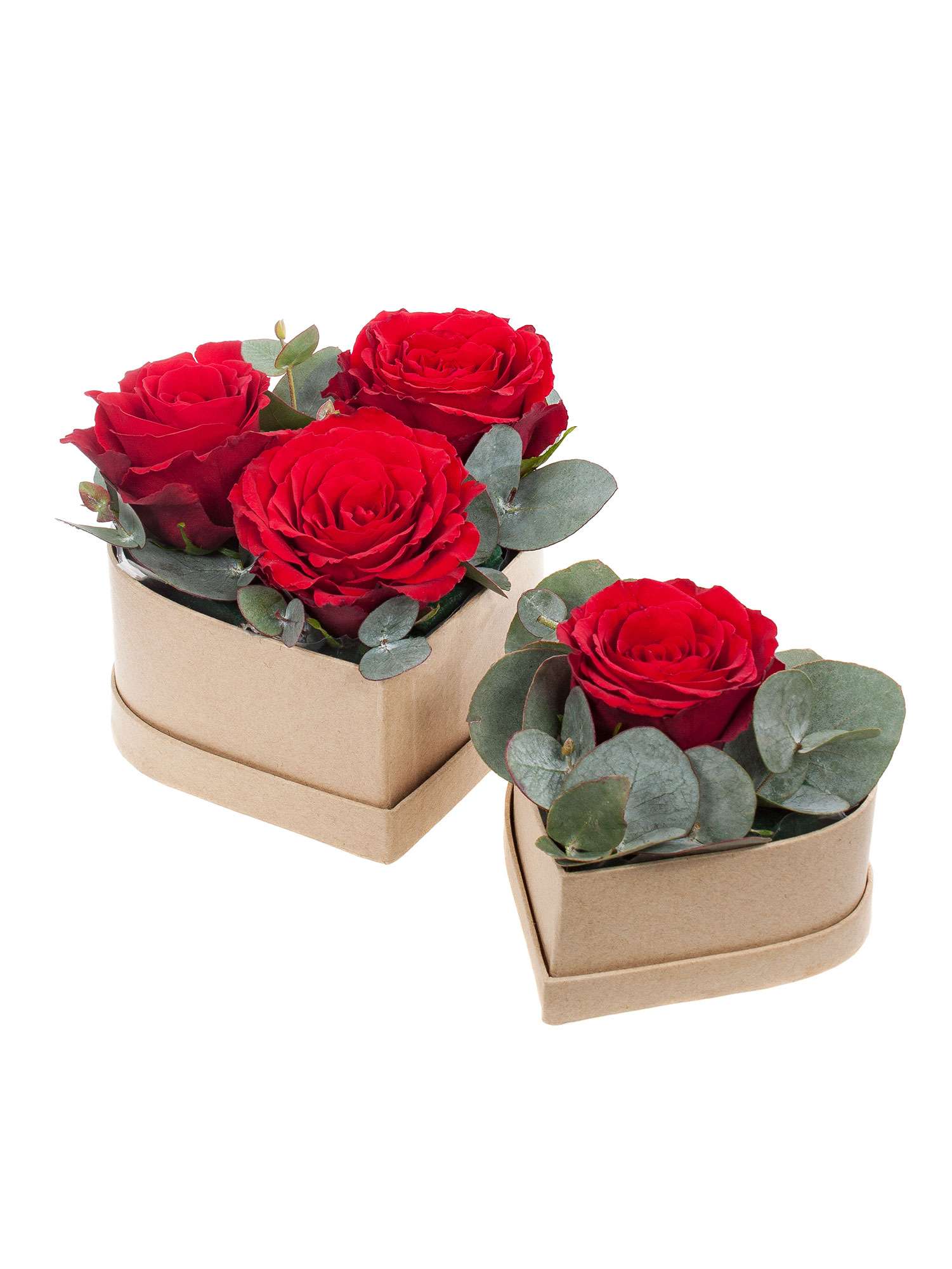 blumigo-rosenbox-herzset-2-teilig-diy-set-zum-selbermachen image 2