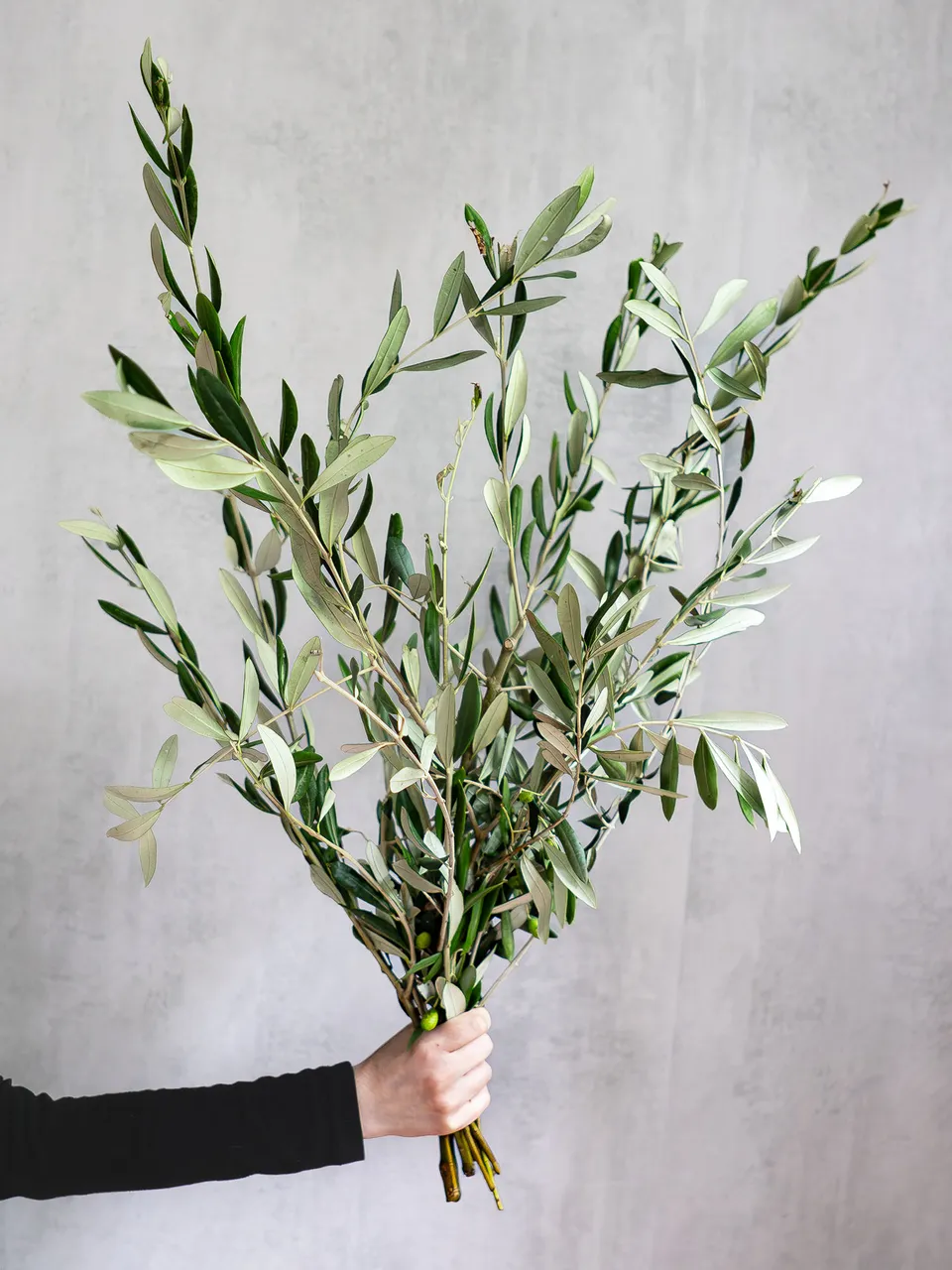 blumigo-exklusives-greenery-olivenzweige-bund-frisch-50-cm image 1