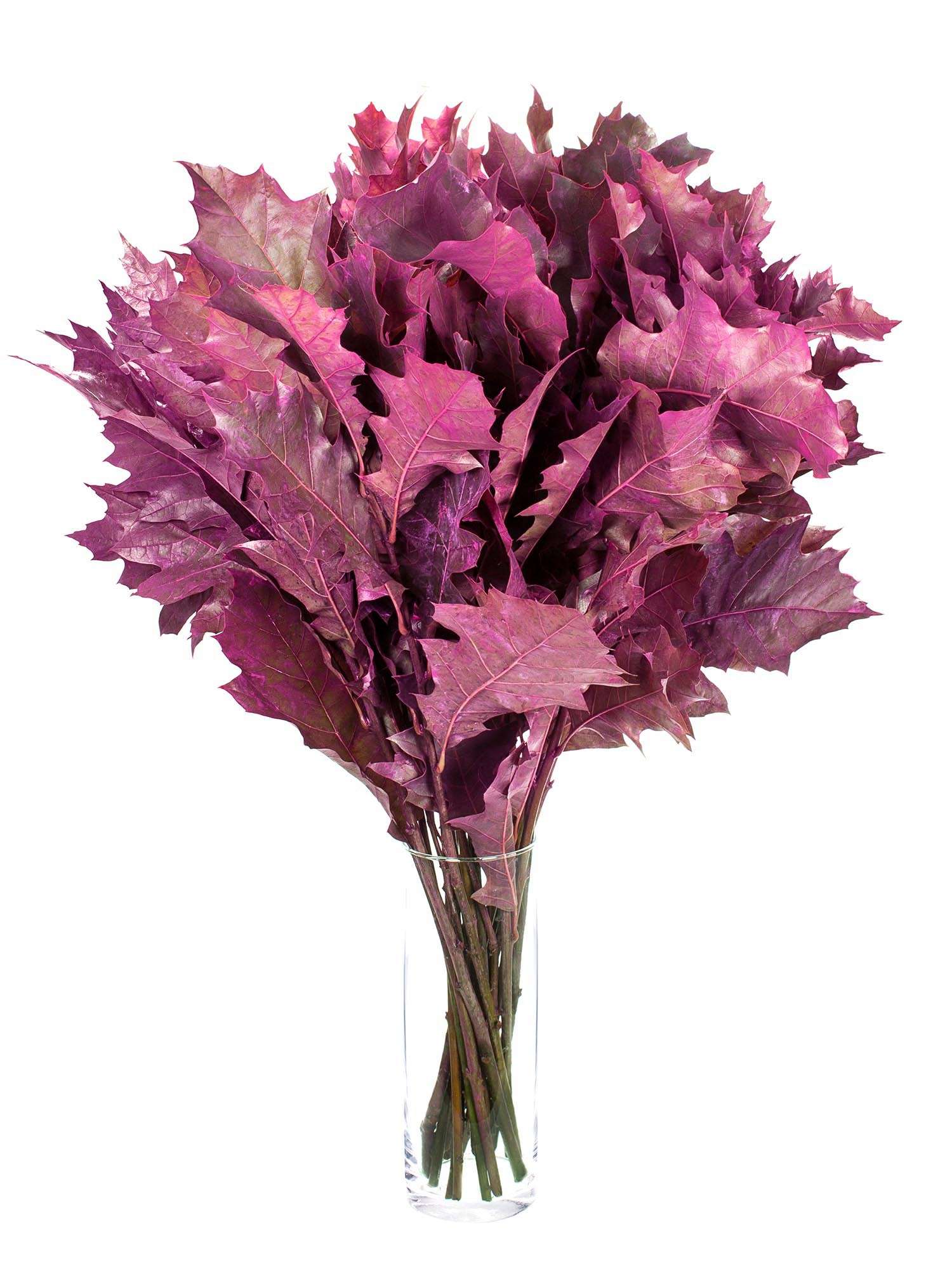blumigo-blattwerk-und-bindegr-n-eichenbl-tter-schnittgr-n-pink image 2