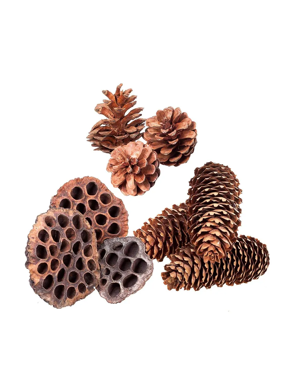 blumigo-herbstdeko-zapfenmischung-natur-9er-set image 1