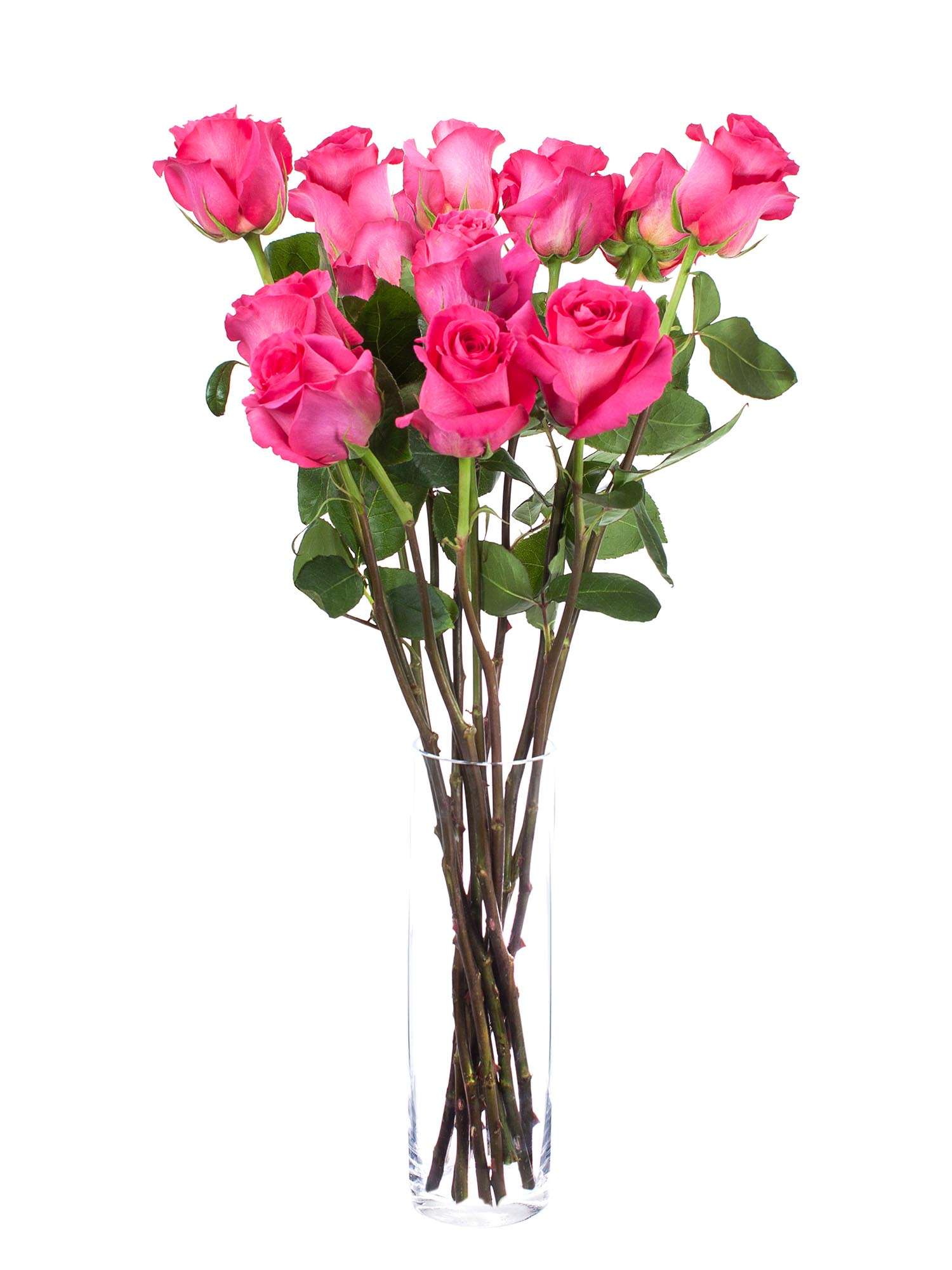 blumigo-rosen-pink-floyd-rose-pink-gro-bl-tig image 2