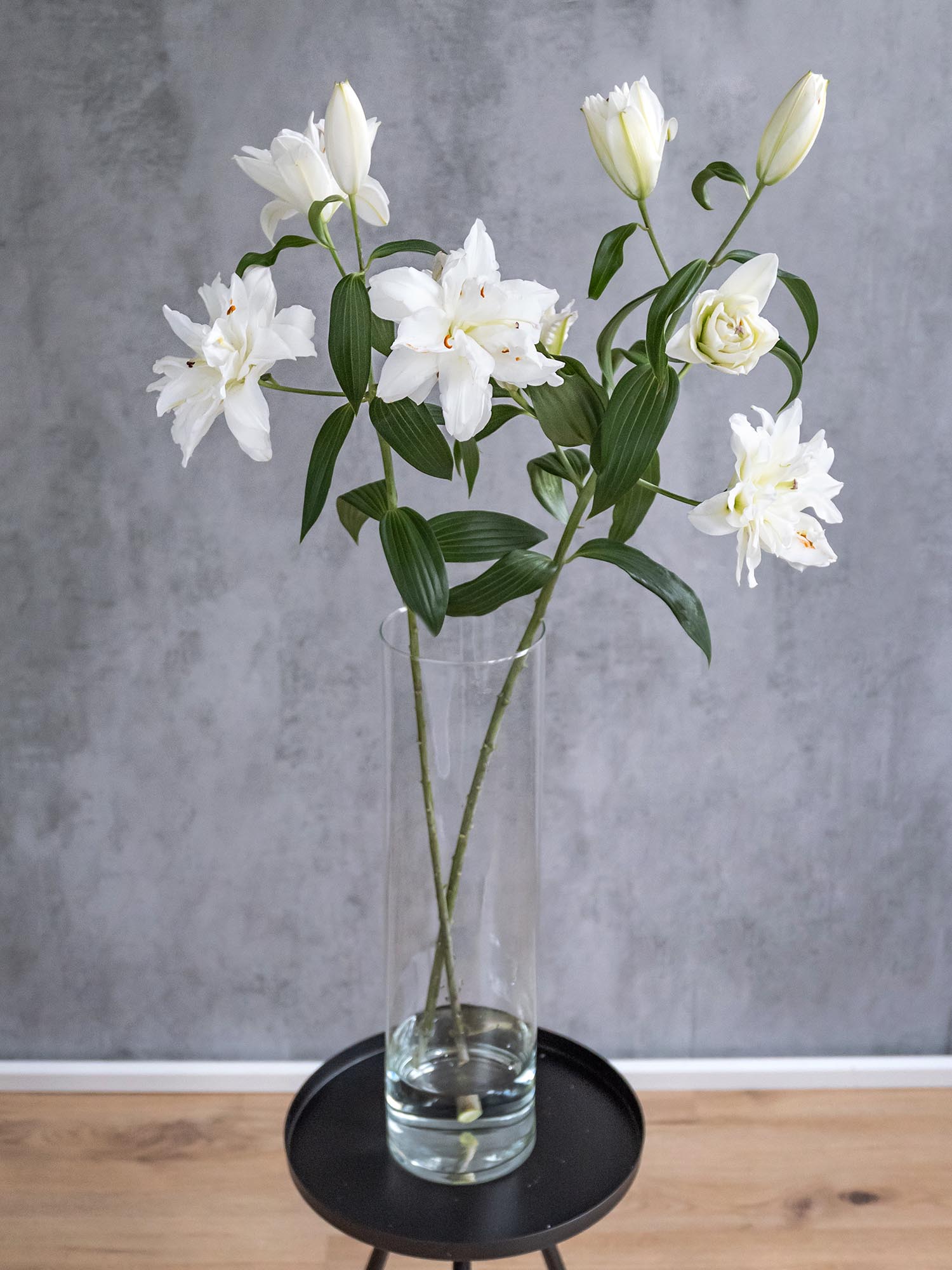 blumigo-snowboard-lilie-wei-gef-llt-frische-schnittblume image 6