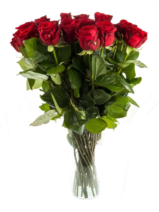 blumigo-rosen-eleganz-schnittrosen-rot-f-r-strau image 1