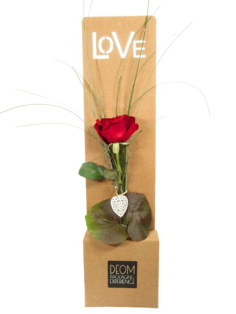 blumigo-love-rote-rose-einzelrose-red-naomi-geschenkbox image 2