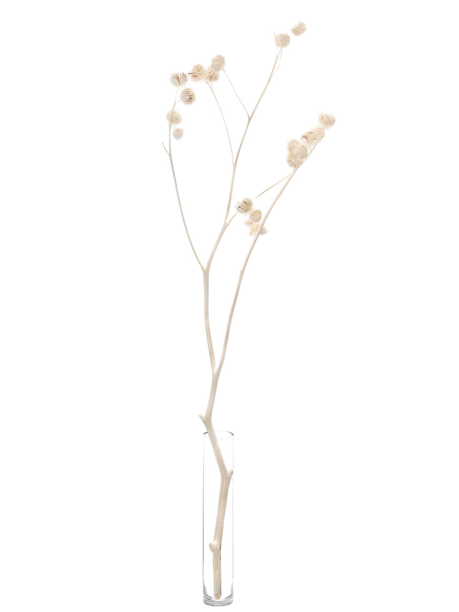 blumigo-trockenblumen-velcro-disteln-gebleicht-wei-bund image 4