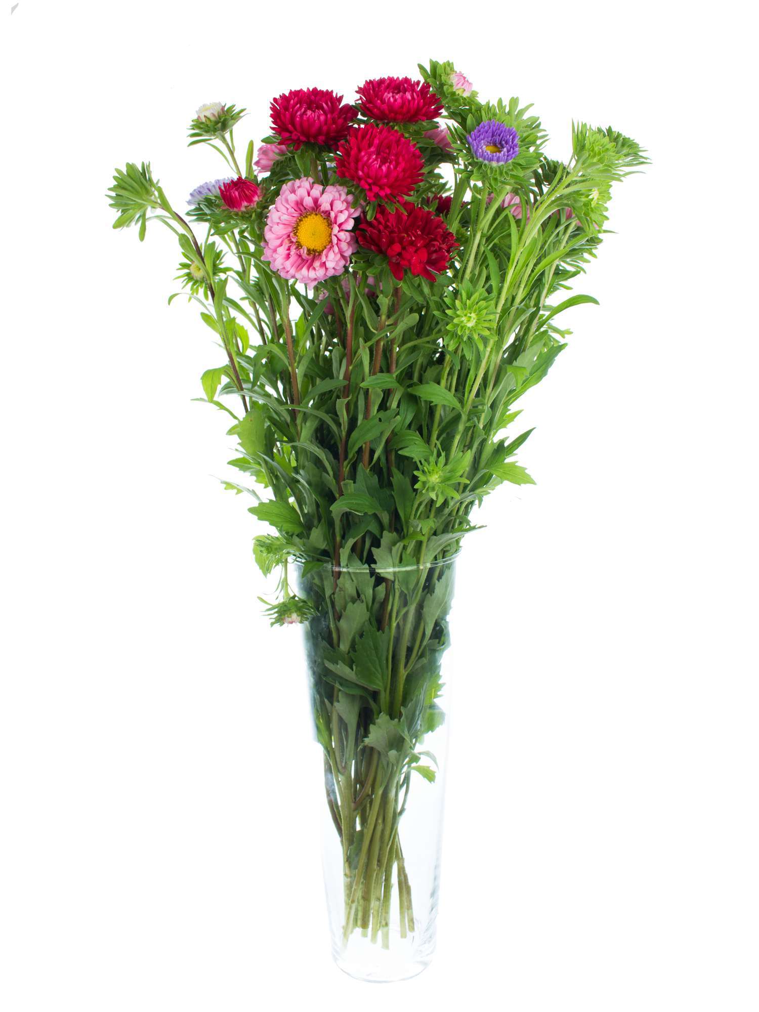 blumigo-herbstdeko-sommerastern-wilde-mischung-schnittblumen image 2