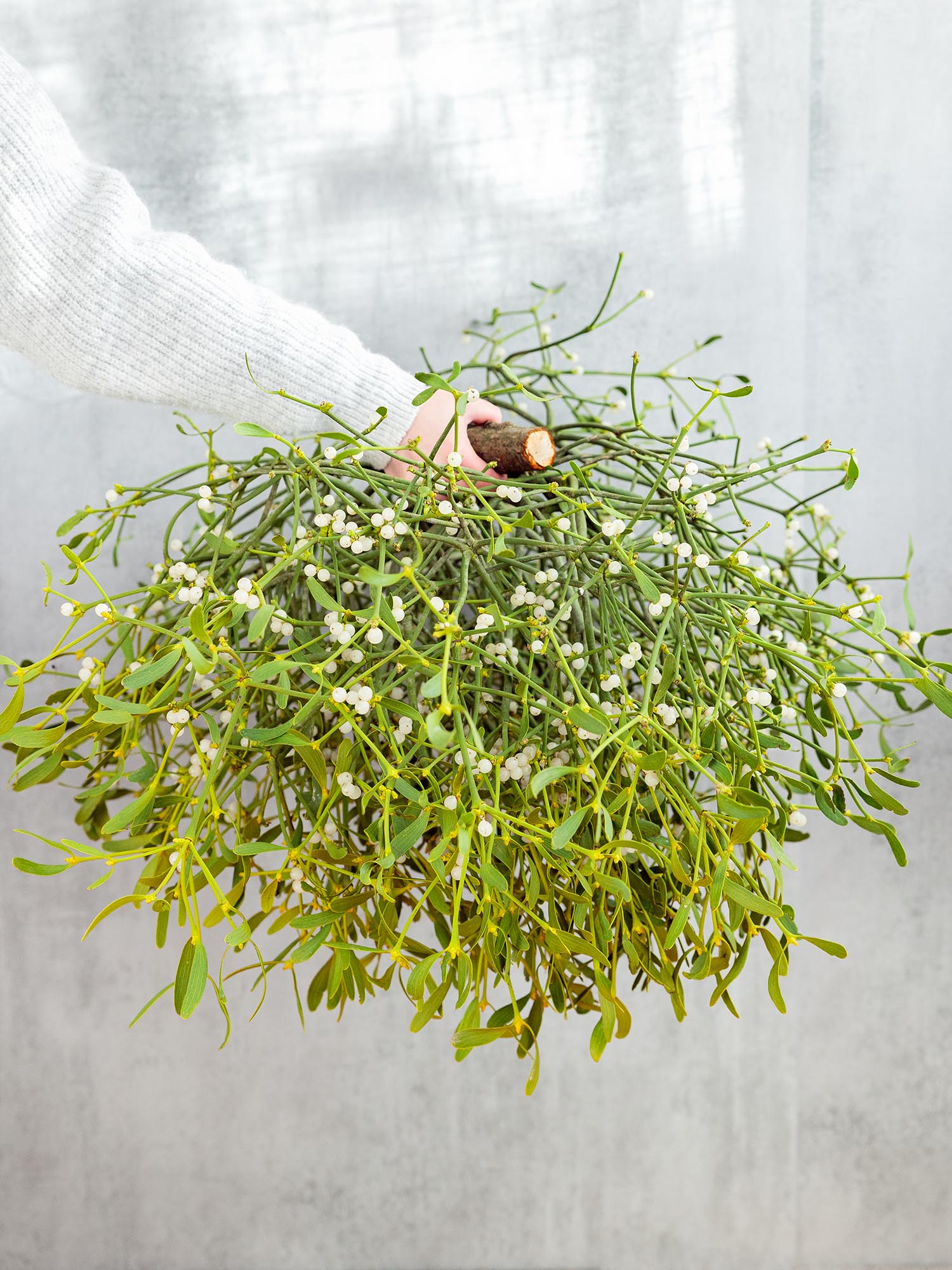 blumigo-adventskr-nze-xl-mistelkrone-tannengr-n-kranz image 1