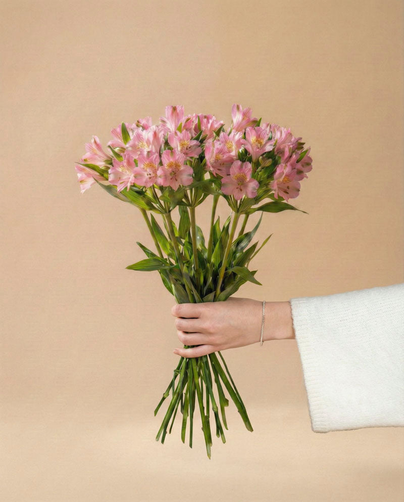 feey-rilio-alstroemeria-rosa-schnittblumen-default image 3