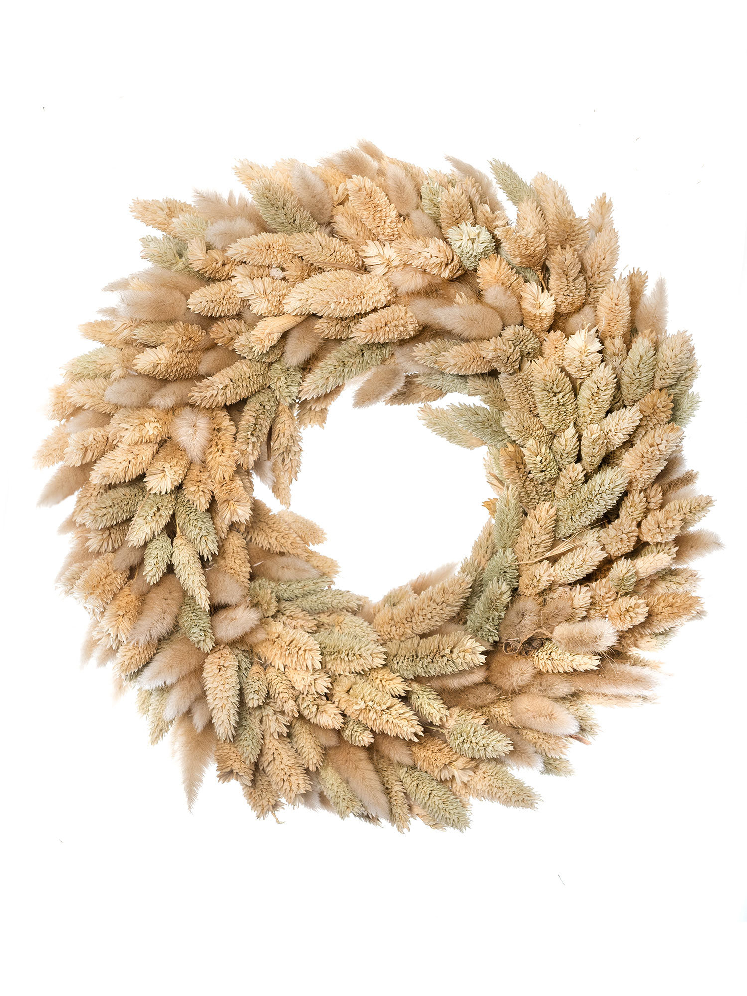 blumigo-trockenblumen-lagurus-phalaris-kranz-getrocknet image 2