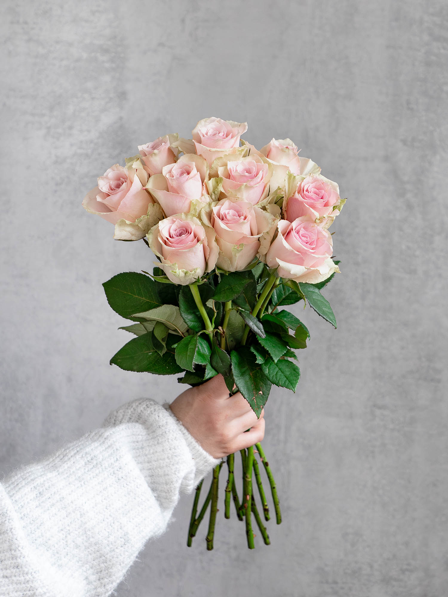 blumigo-rosen-pink-athena-rose-rosa-einzelstiel-frisch image 2