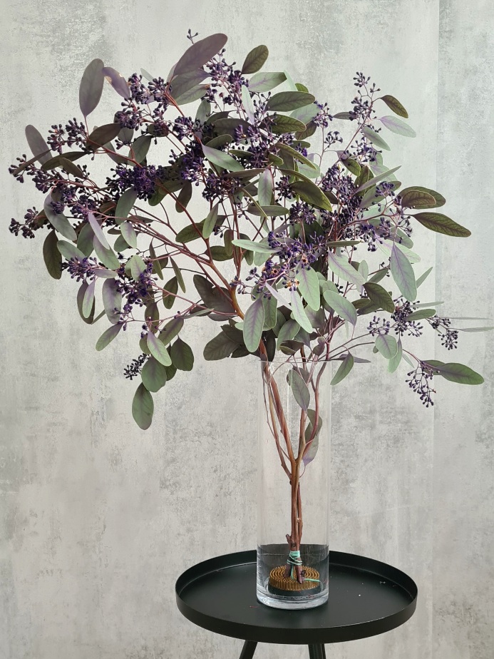 blumigo-eukalyptus-populus-schnittgr-n-beeren-violett image 1
