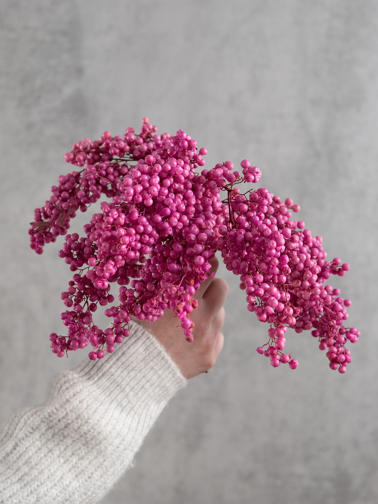 blumigo-trockenblumen-pfefferbeeren-getrocknet-painted-rosa image 1