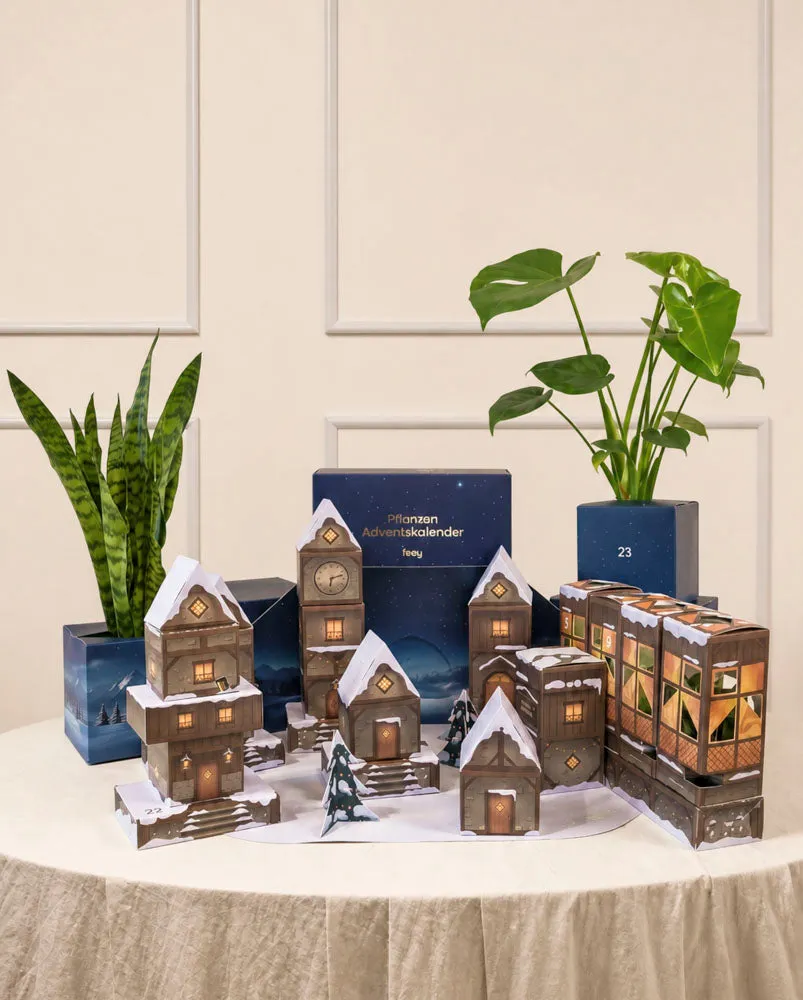 feey-variado-adventskalender-winterdorf-zimmerpflanzen image 1