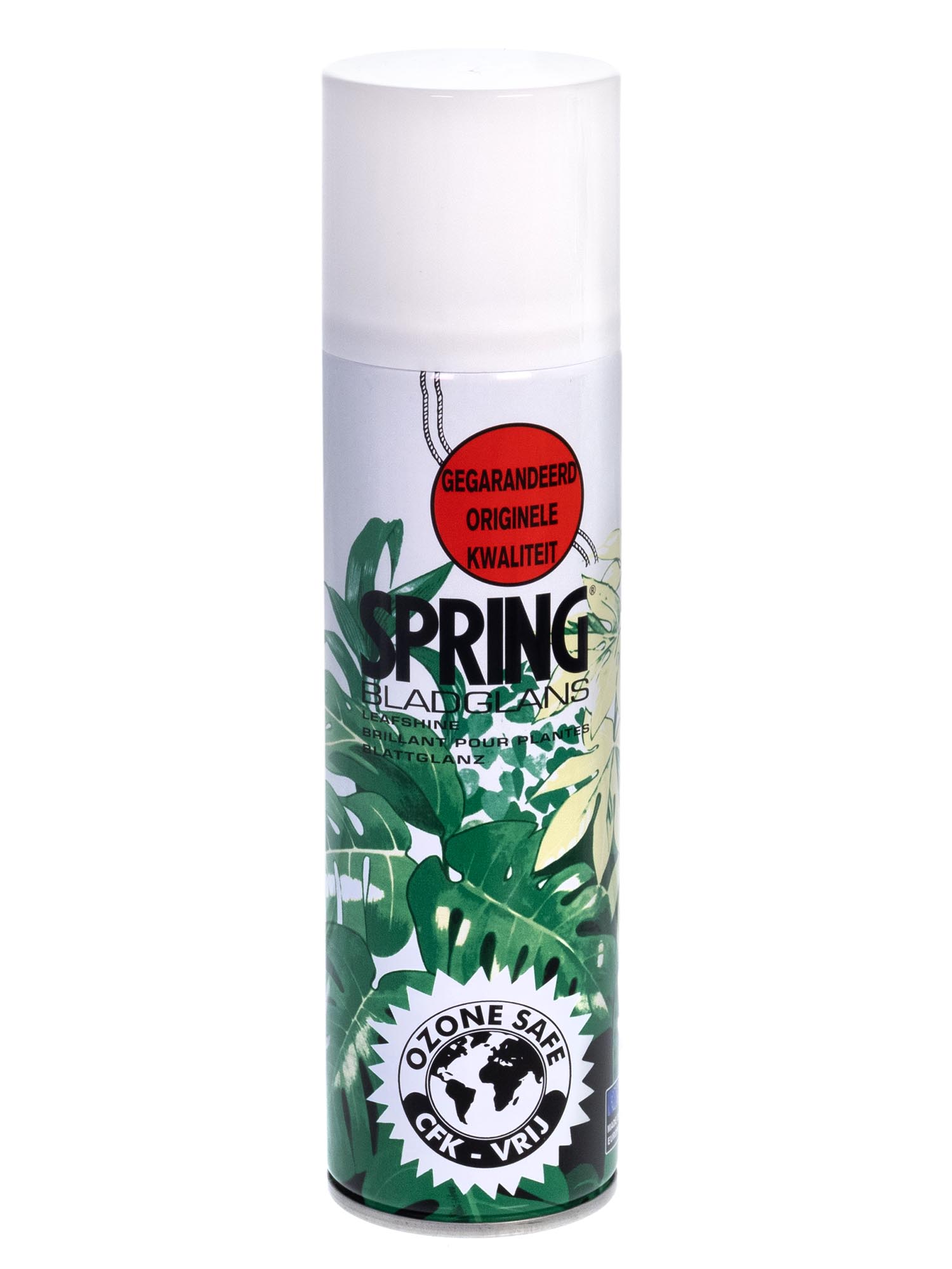 blumigo-blumenpflege-blattglanzspray-f-r-frischen-blumenlook image 1