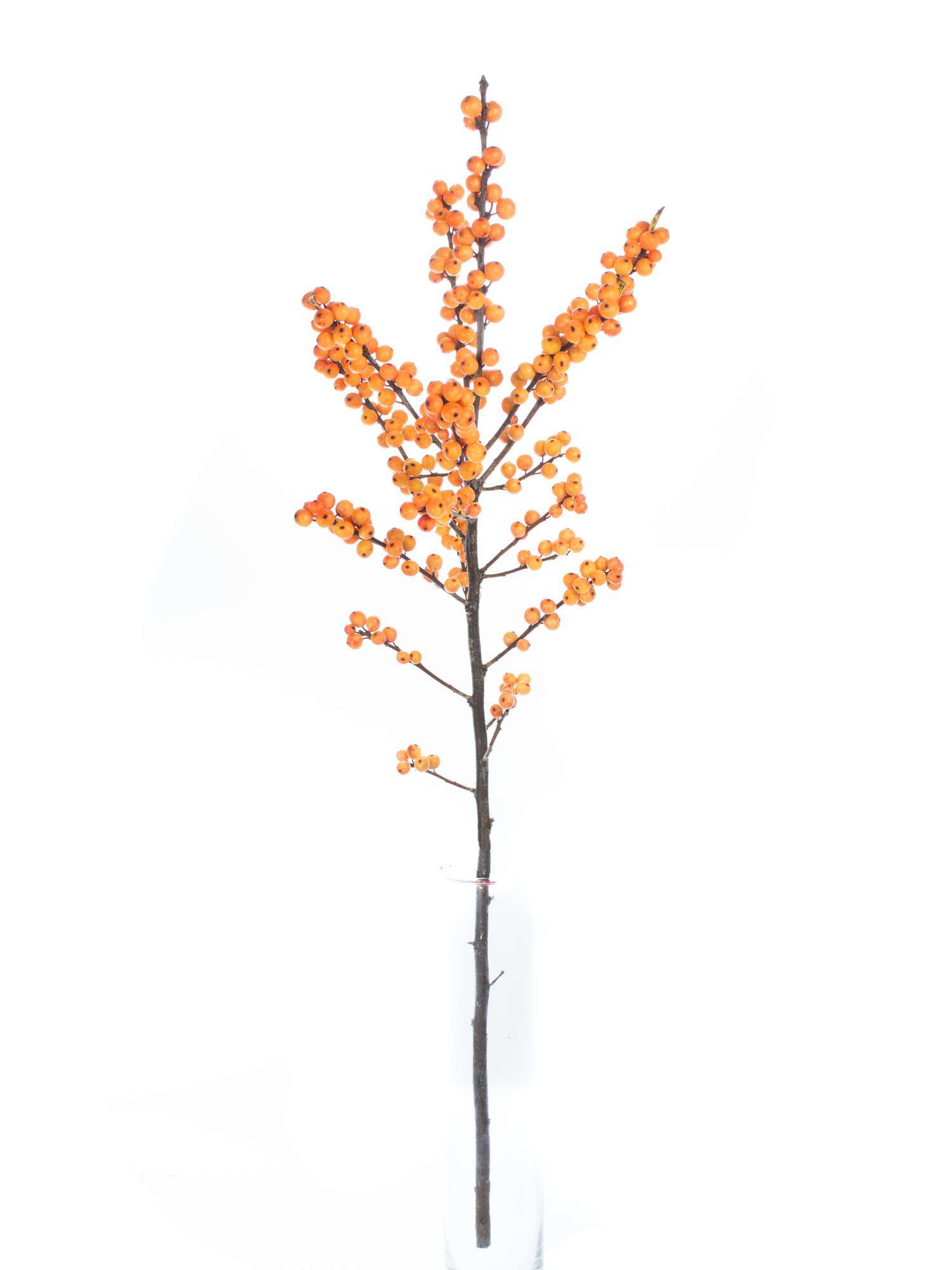 blumigo-gresgold-ilex-zweige-orange-beerenzweige image 2