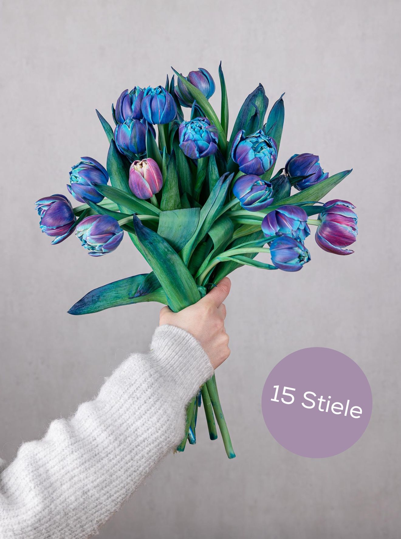 blumigo-tulpen-double-bubble-gef-llte-tulpen-blau image 2