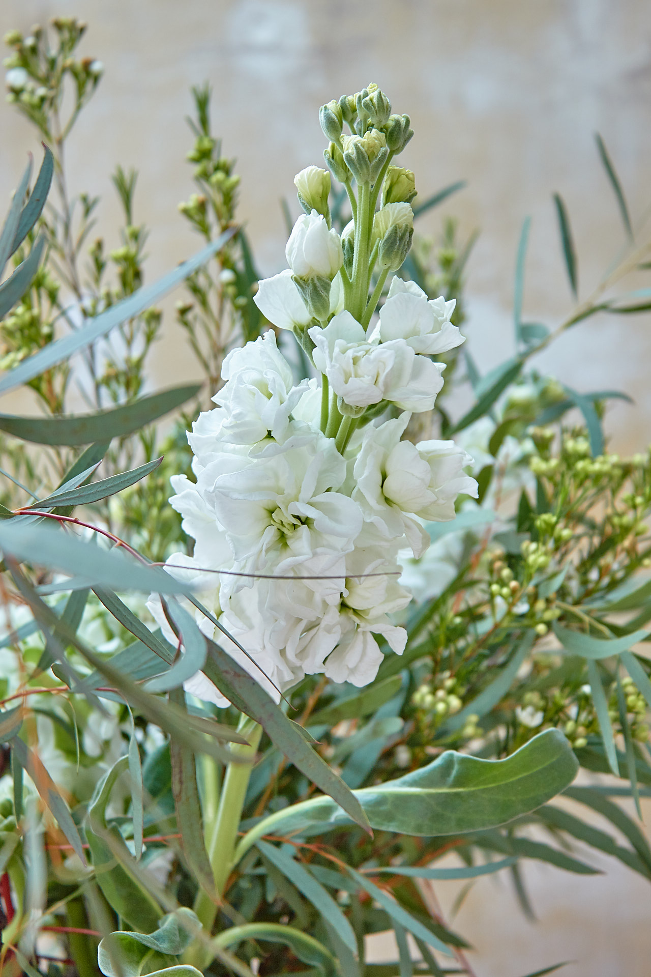 blumigo-berraschungsmixe-green-explosion-bouquet-blumenstrau-gr-n image 4