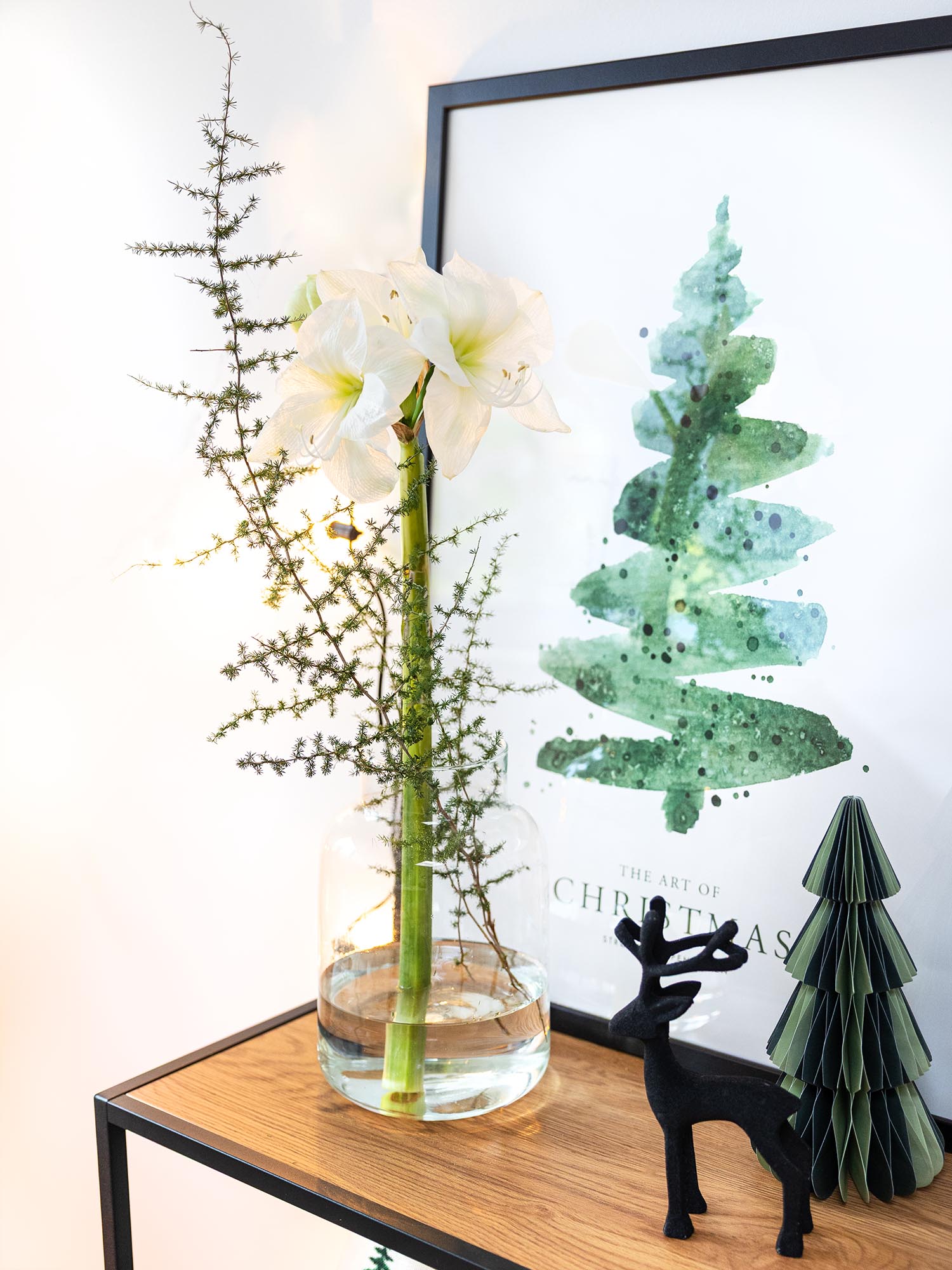 blumigo-amaryllis-casablanca-wei-schnittblume-winter image 5