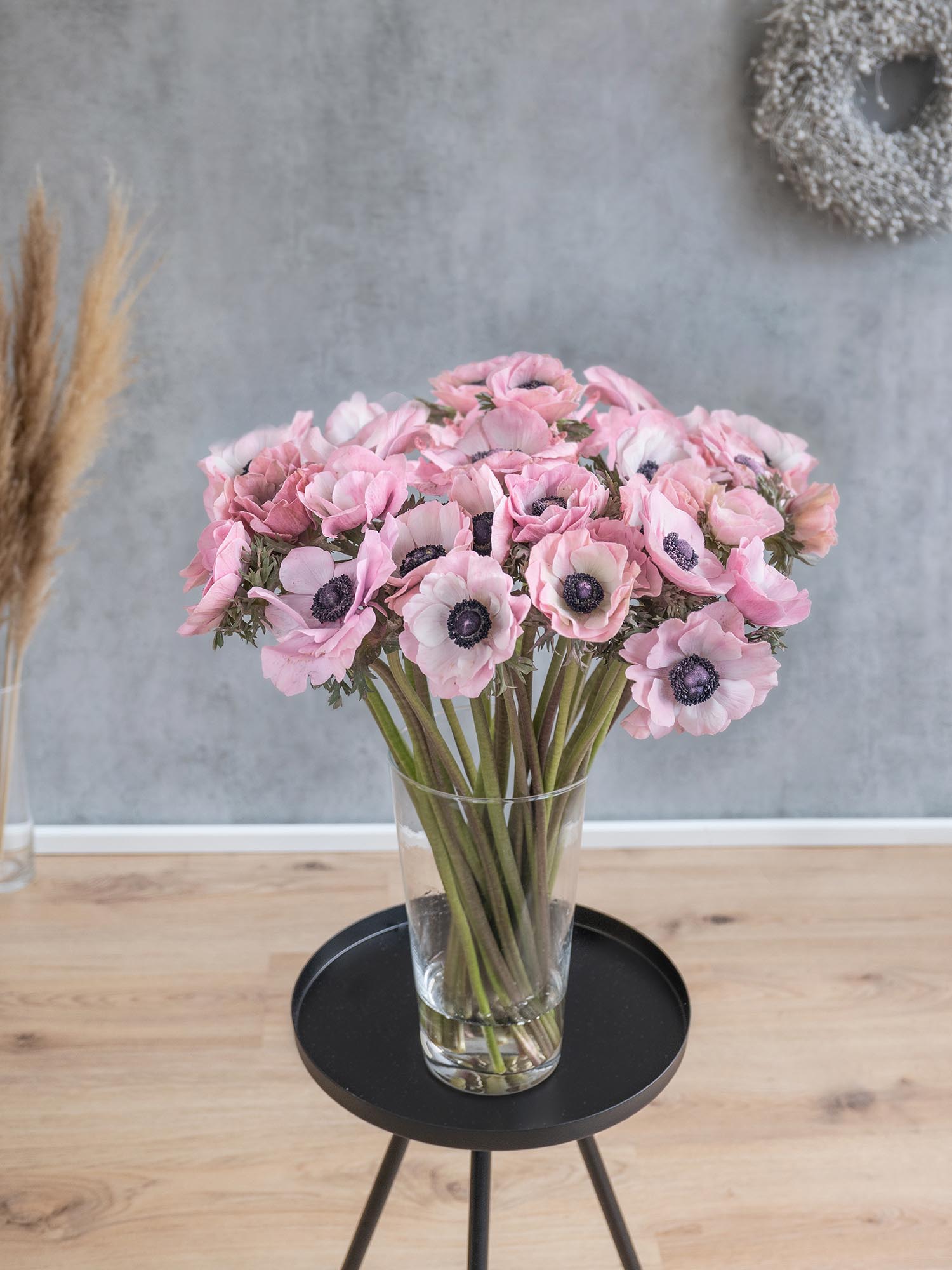 blumigo-anemonen-xl-mistral-powder-old-pink-rosa-schnittblume image 2