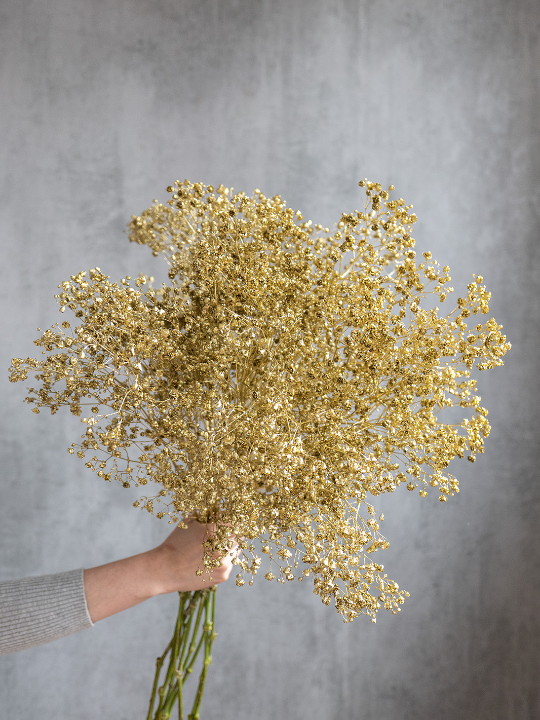 blumigo-schleierkraut-painted-trockenblumen-gold image 5