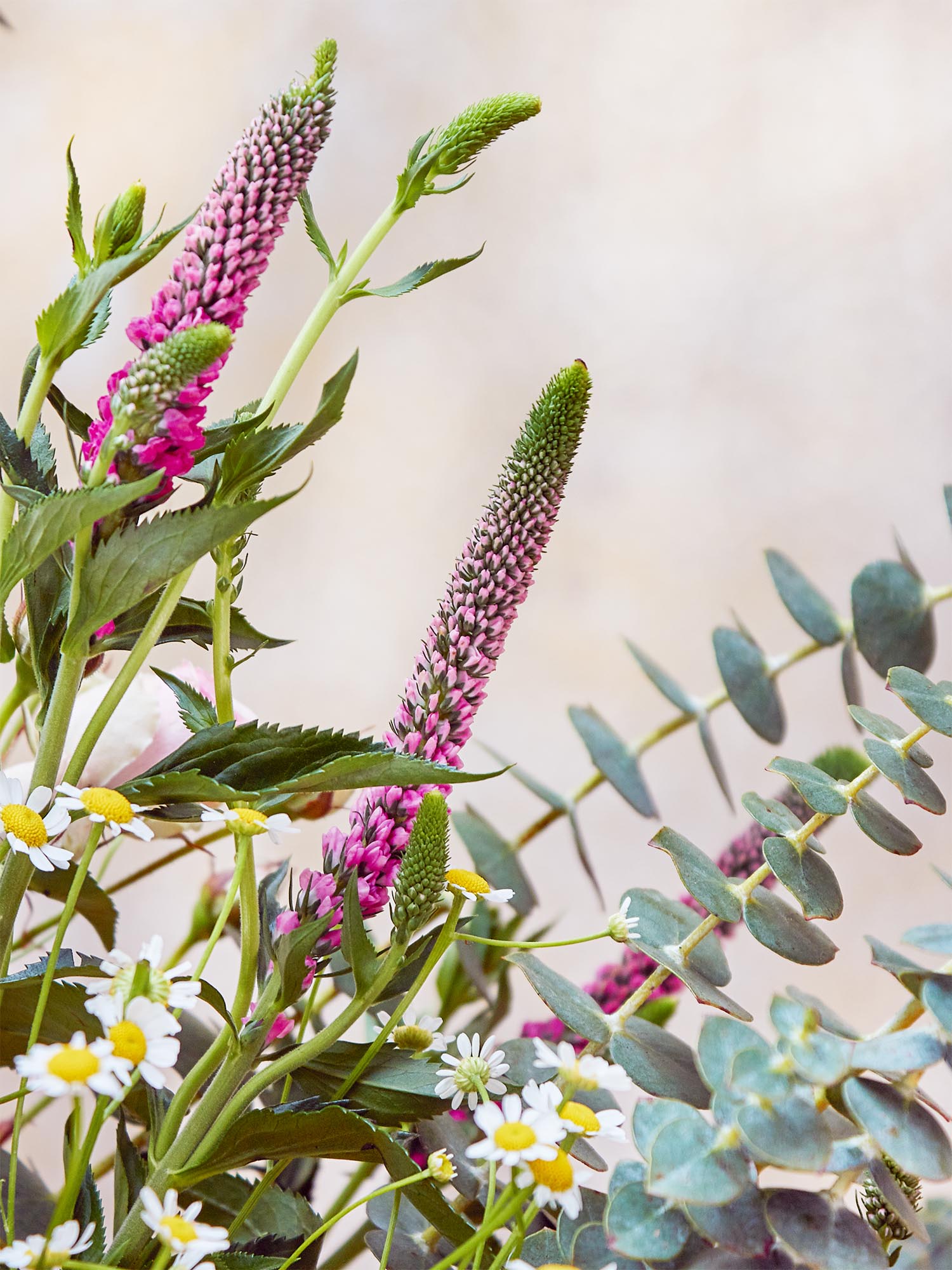 blumigo-garden-of-eden-bouquet-blumenstrau-frisch image 5