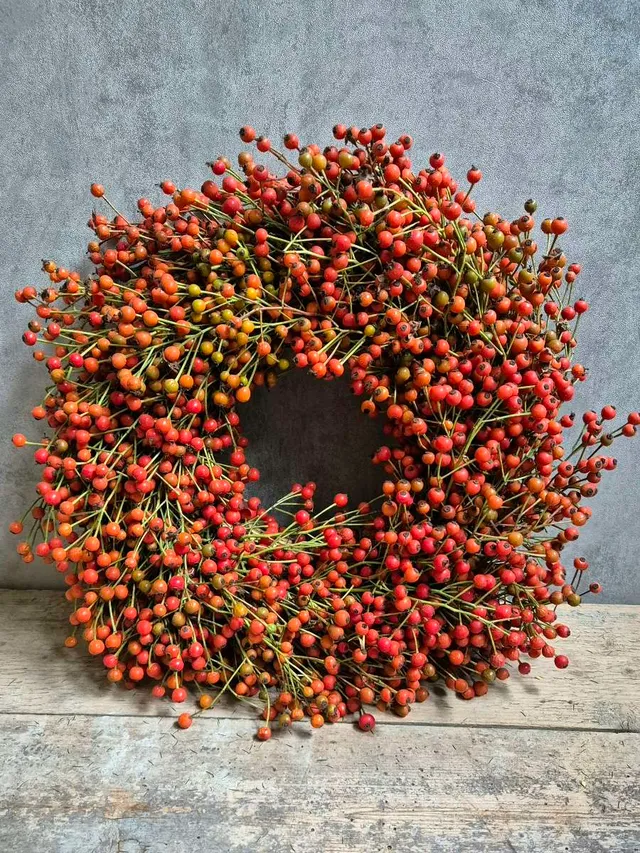 blumigo-herbstdeko-zierkranz-hagebutten-exklusiv image 1