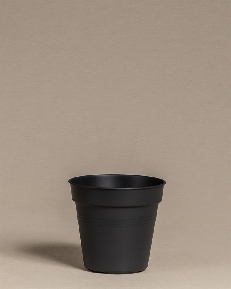 feey-amsterdam-innentopf-15-cm-kunststoff-mit-abtropfl-chern image 1