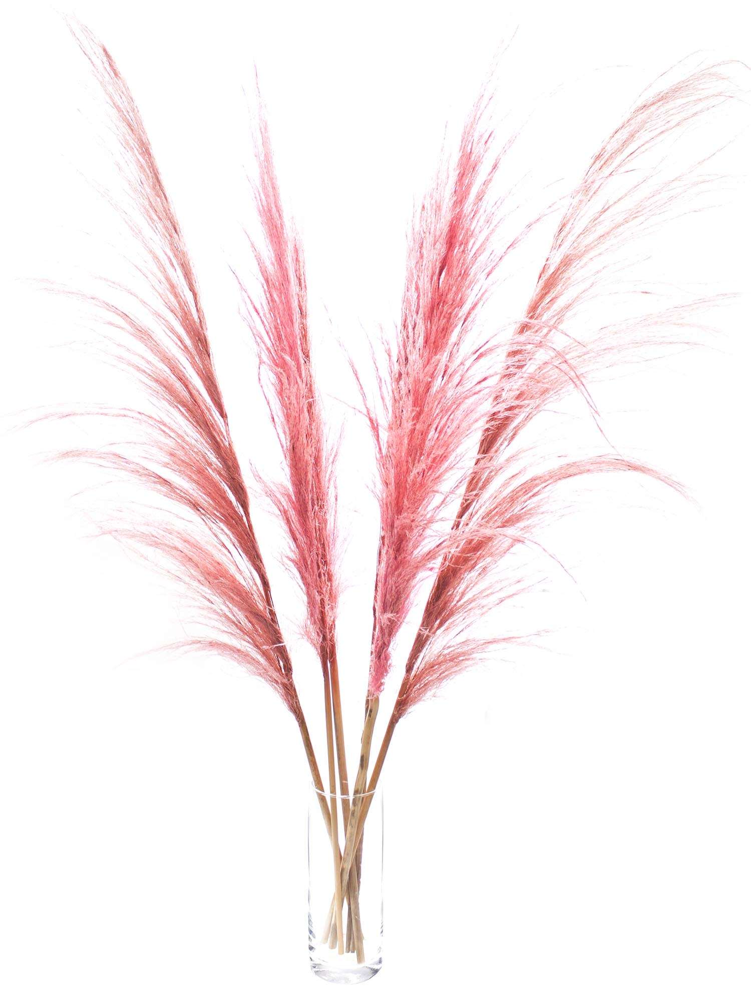 blumigo-trockenblumen-pampasgras-getrocknet-rosa-f-r-vase image 2