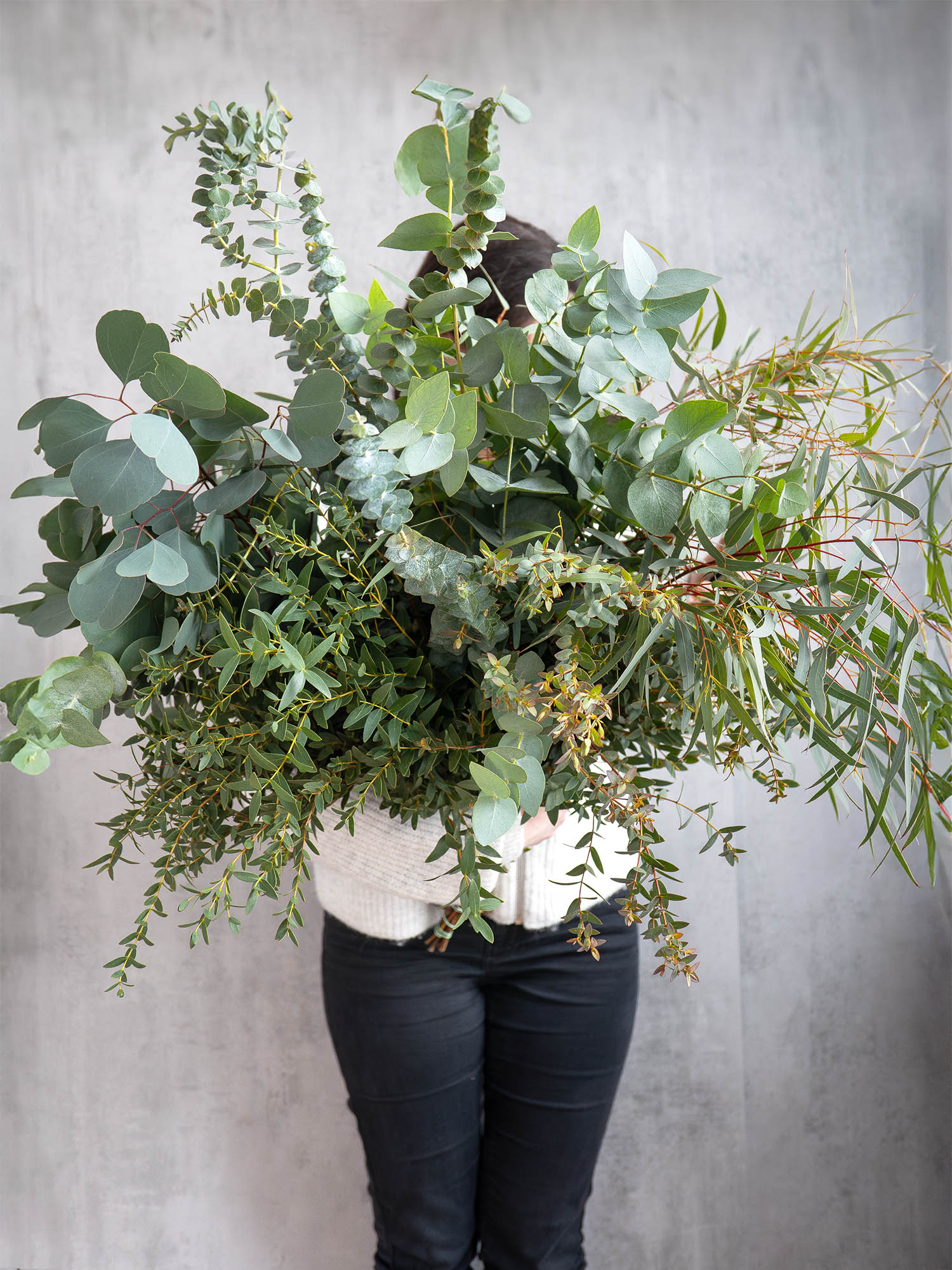 blumigo-eukalyptus-mix-6-bund-gemischt-schnittgr-n image 3