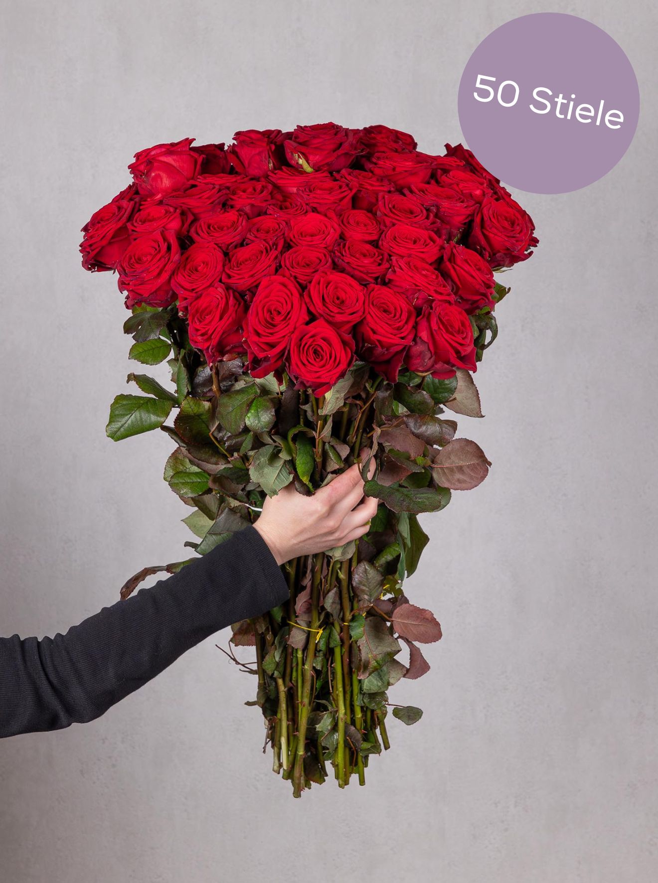 blumigo-rosen-red-naomi-rot-schnittrose-premium image 4
