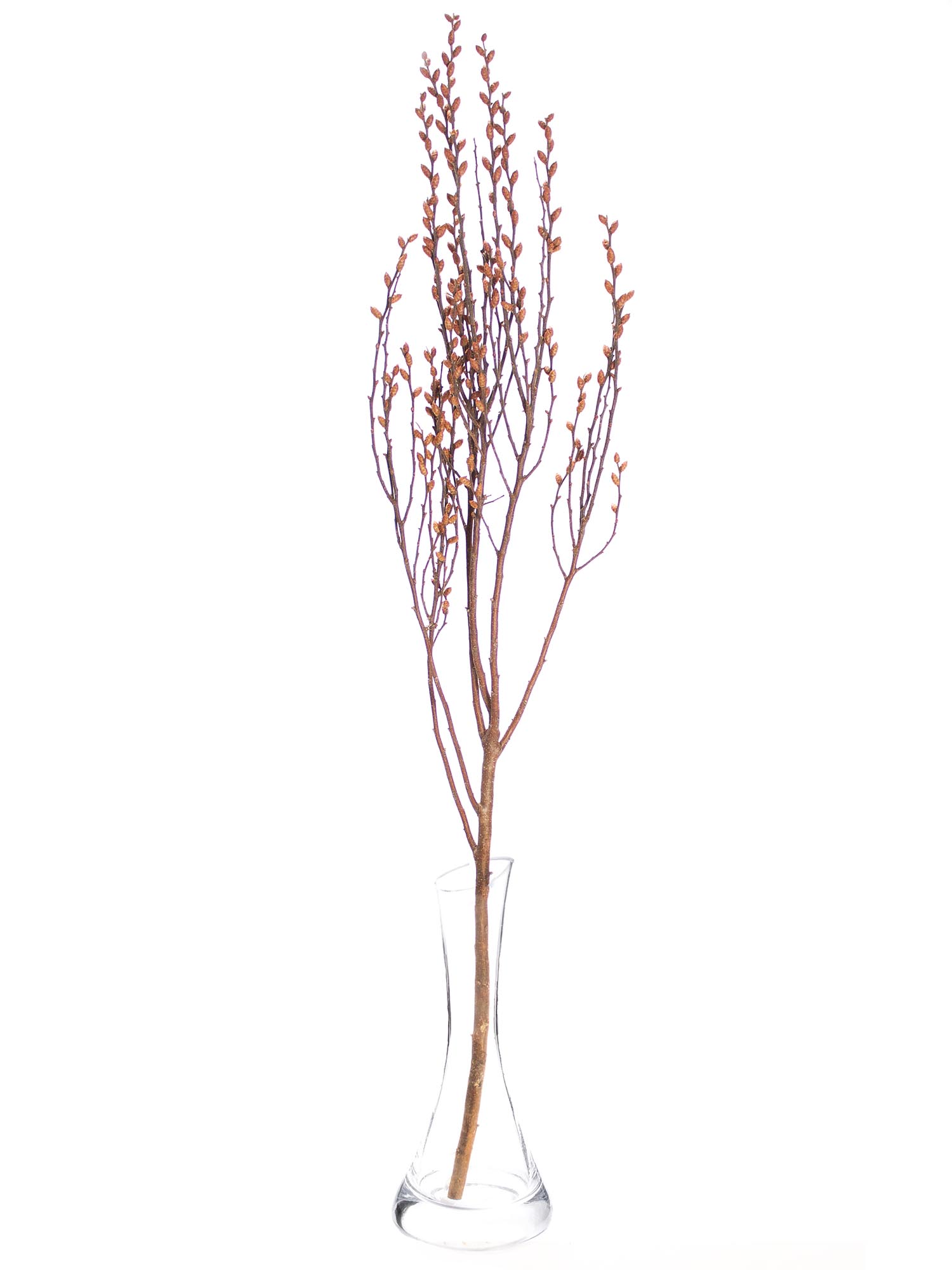 blumigo-zweige-myrica-gale-gagelzweige-bindegr-n-frisch image 3