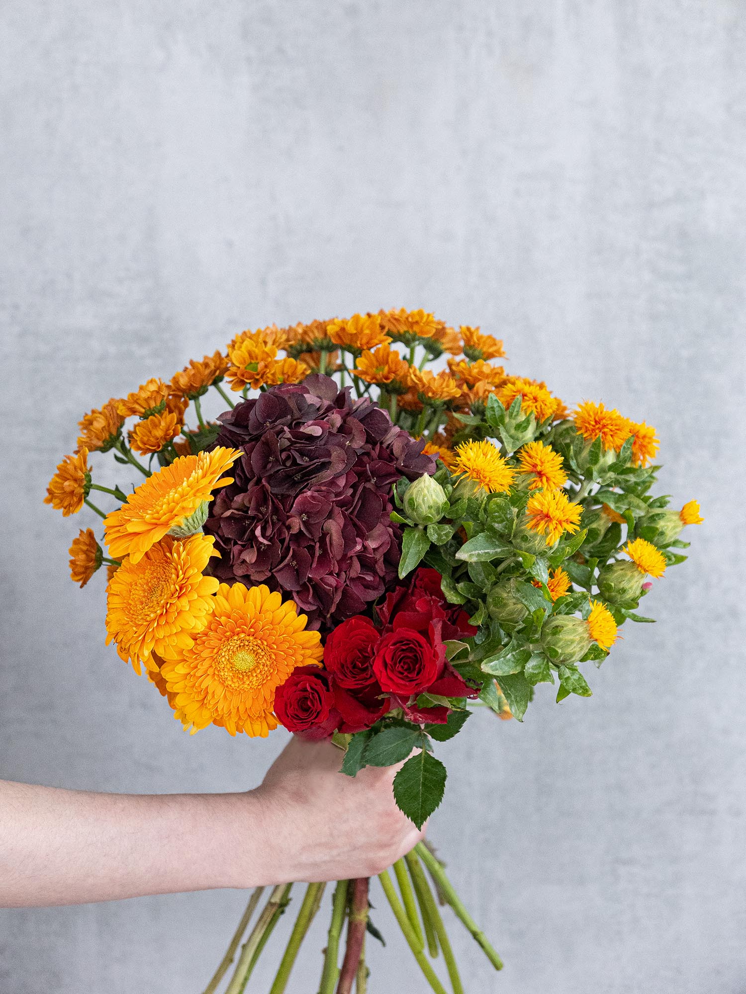 blumigo-basic-color-mix-blumenmischung-rot-orange image 8