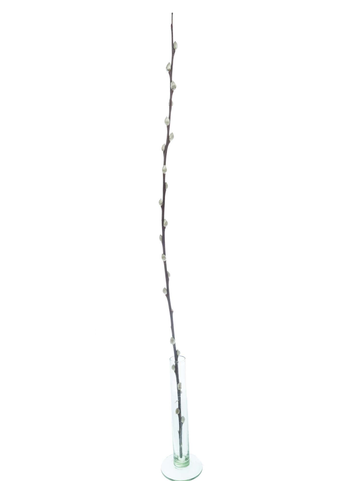 blumigo-zweige-weidenk-tzchen-mittellang-natur-f-r-vase image 6