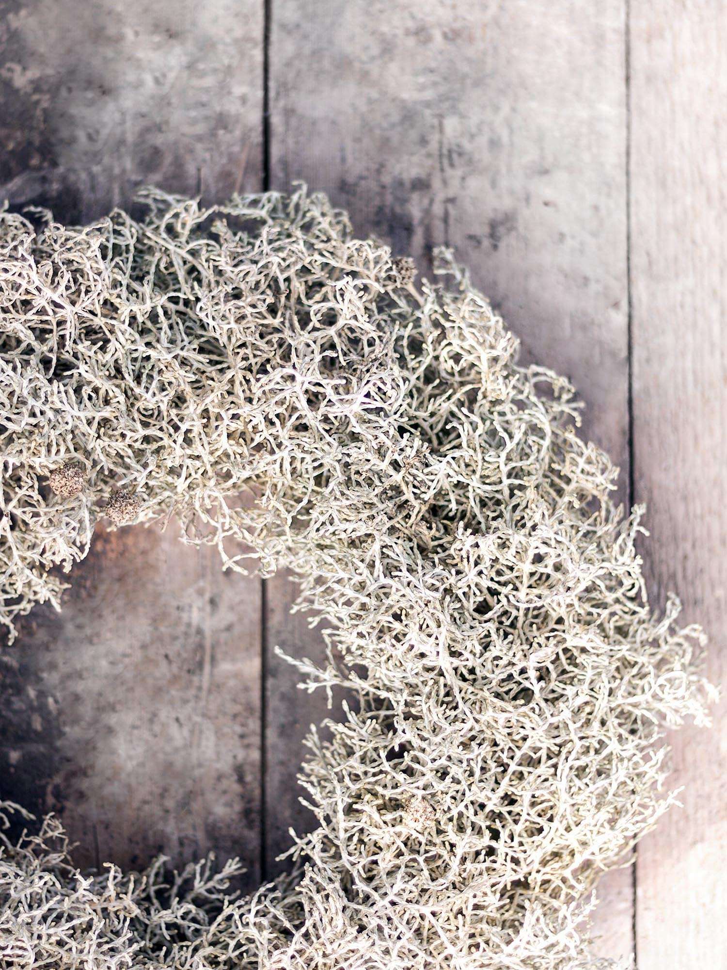 blumigo-diy-sets-stacheldrahtkranz-30-cm-selbermachen image 3