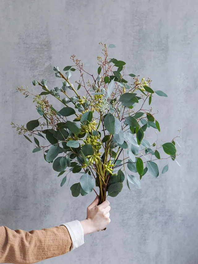blumigo-blattwerk-euca-berry-greenery-mix-bund image 1