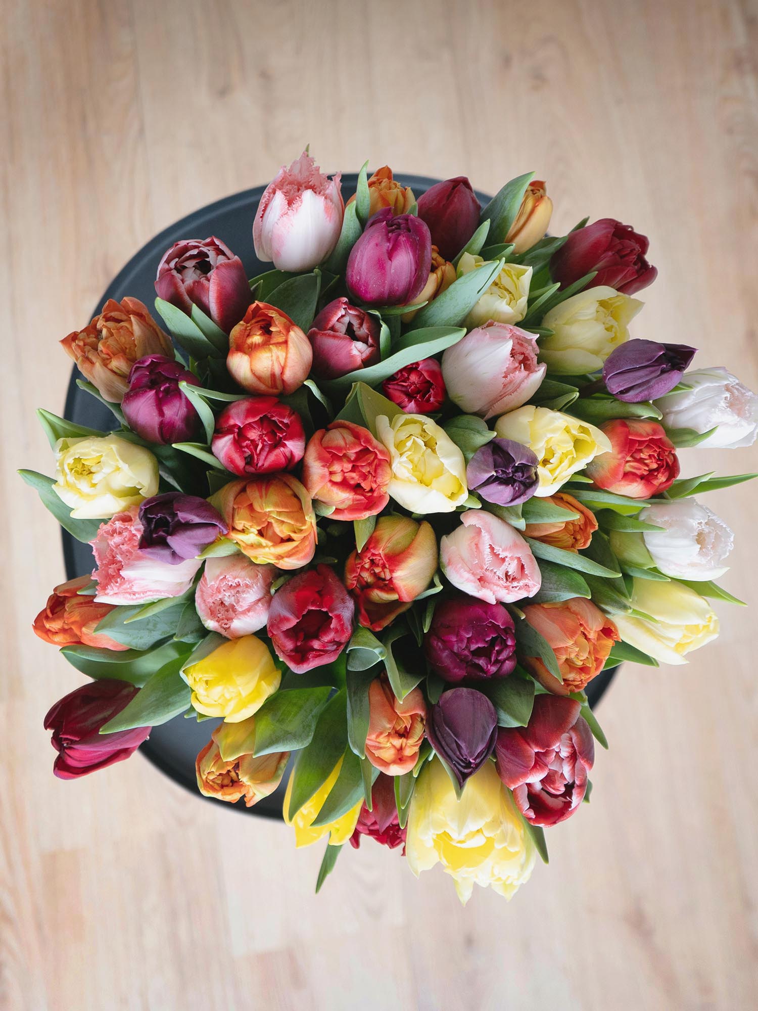 blumigo-berraschungsmixe-50-tulpen-schnittblumen-bunt-gemischt image 5