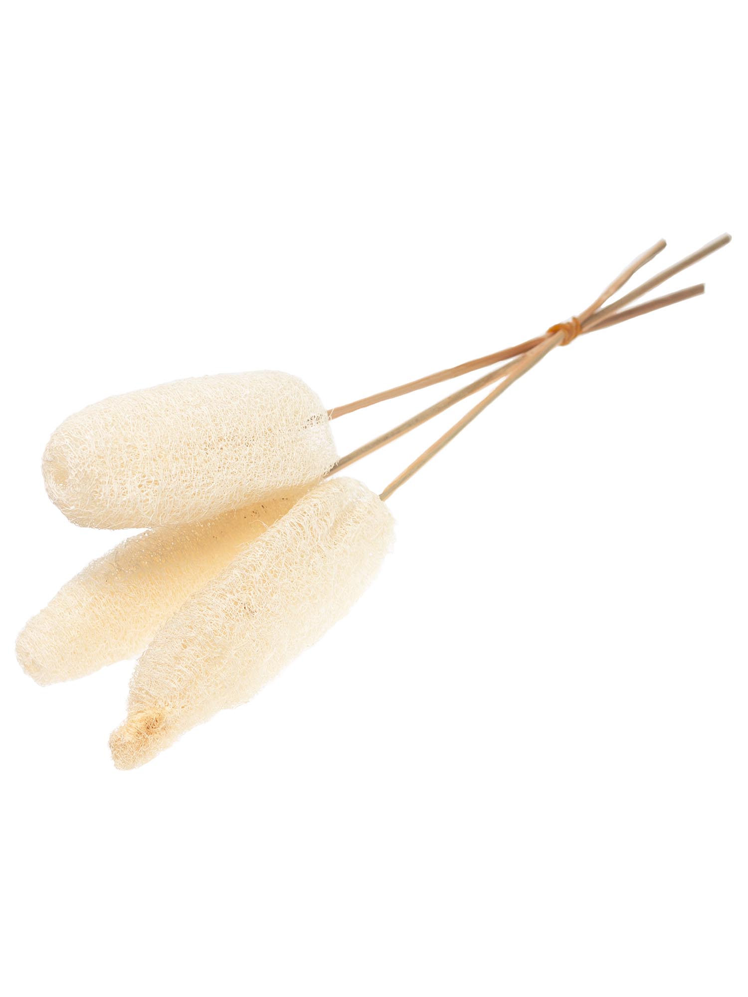 blumigo-trockenblumen-luffa-am-stab-creme-wei-gebleicht image 3