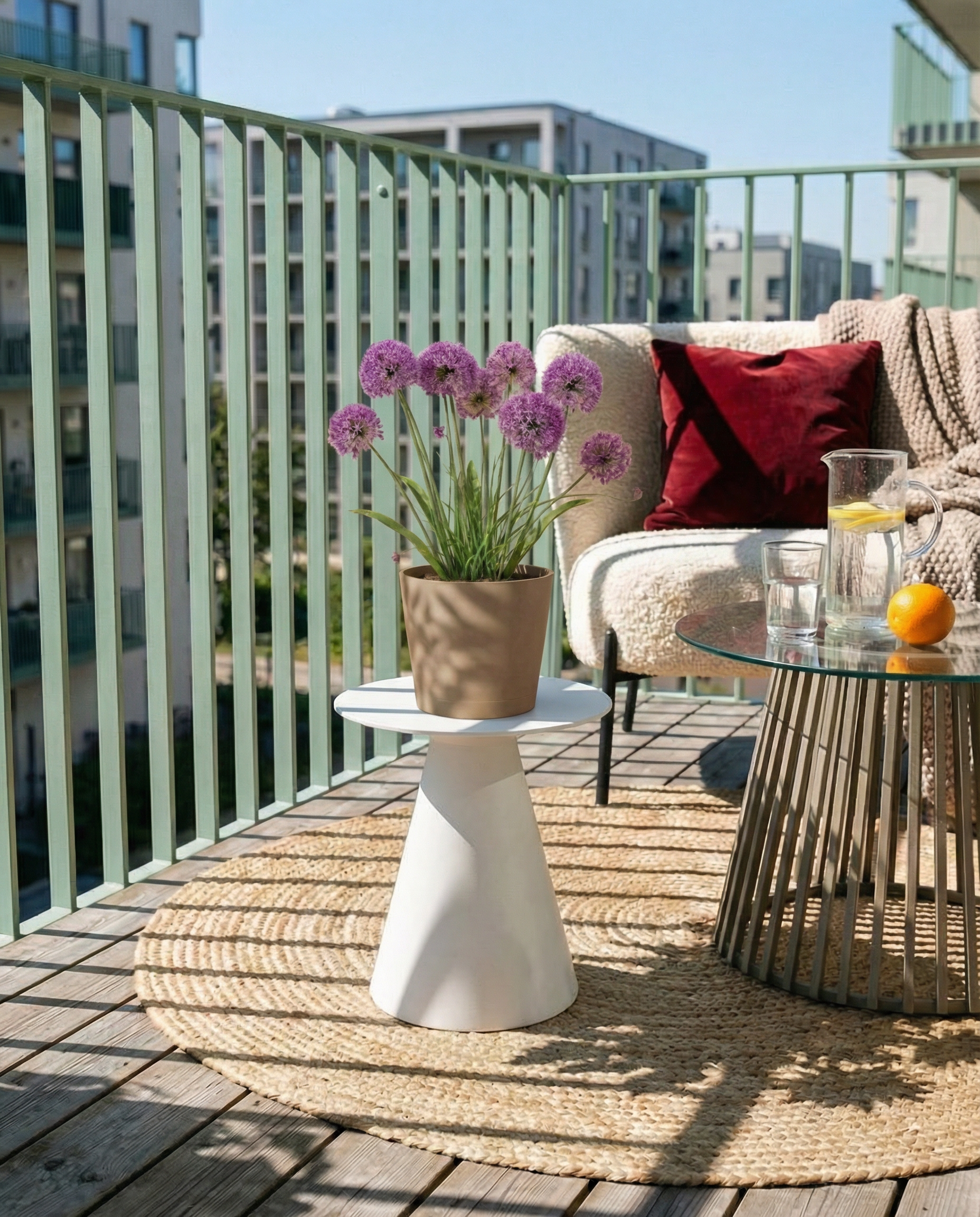 feey-amsterdam-allium-blumenzwiebeln-lila-2-stk-bienenfreundlich image 8