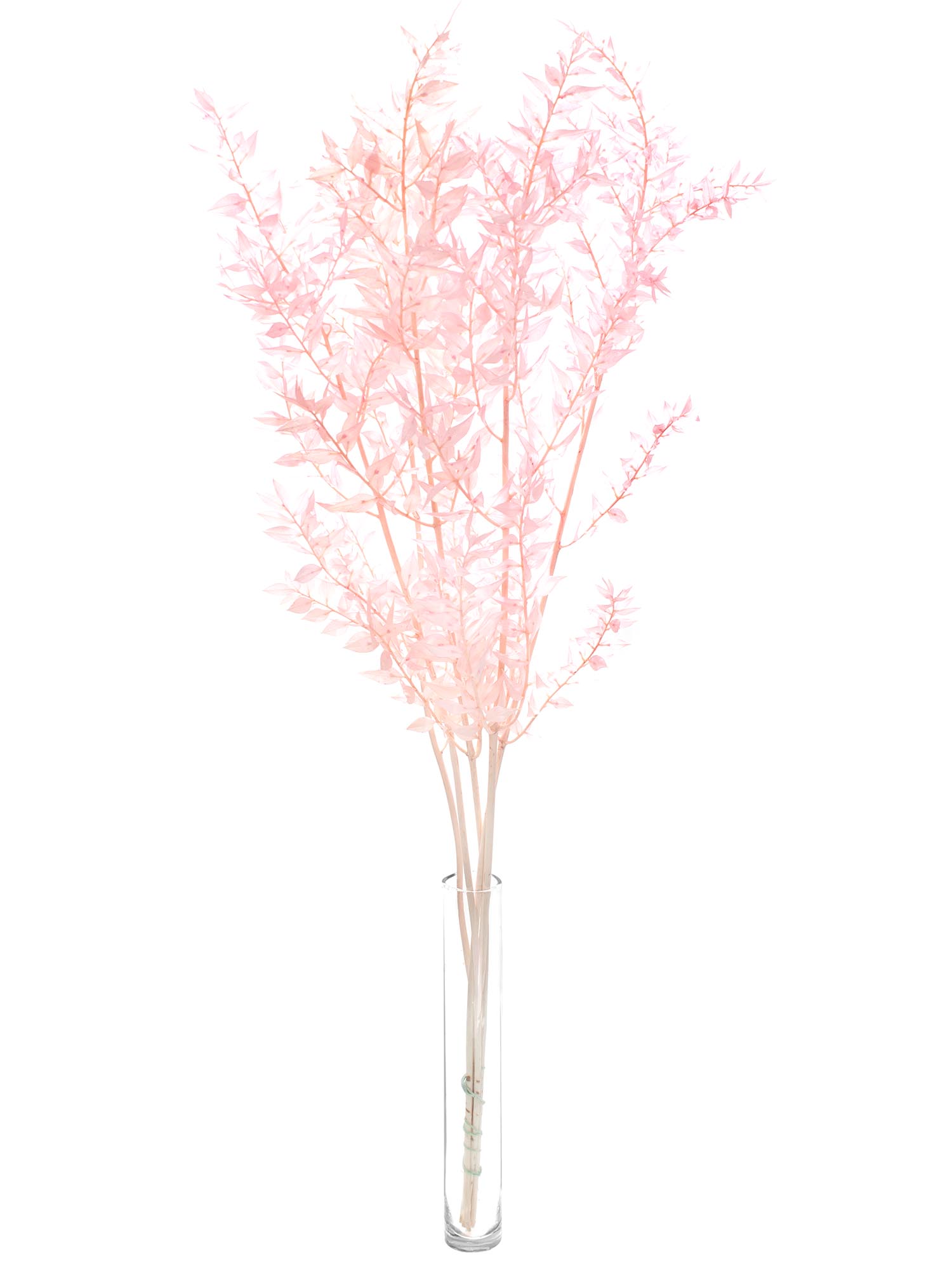 blumigo-trockenblumen-ruscus-m-usedorn-trockendeko-rosa-gef-rbt image 2