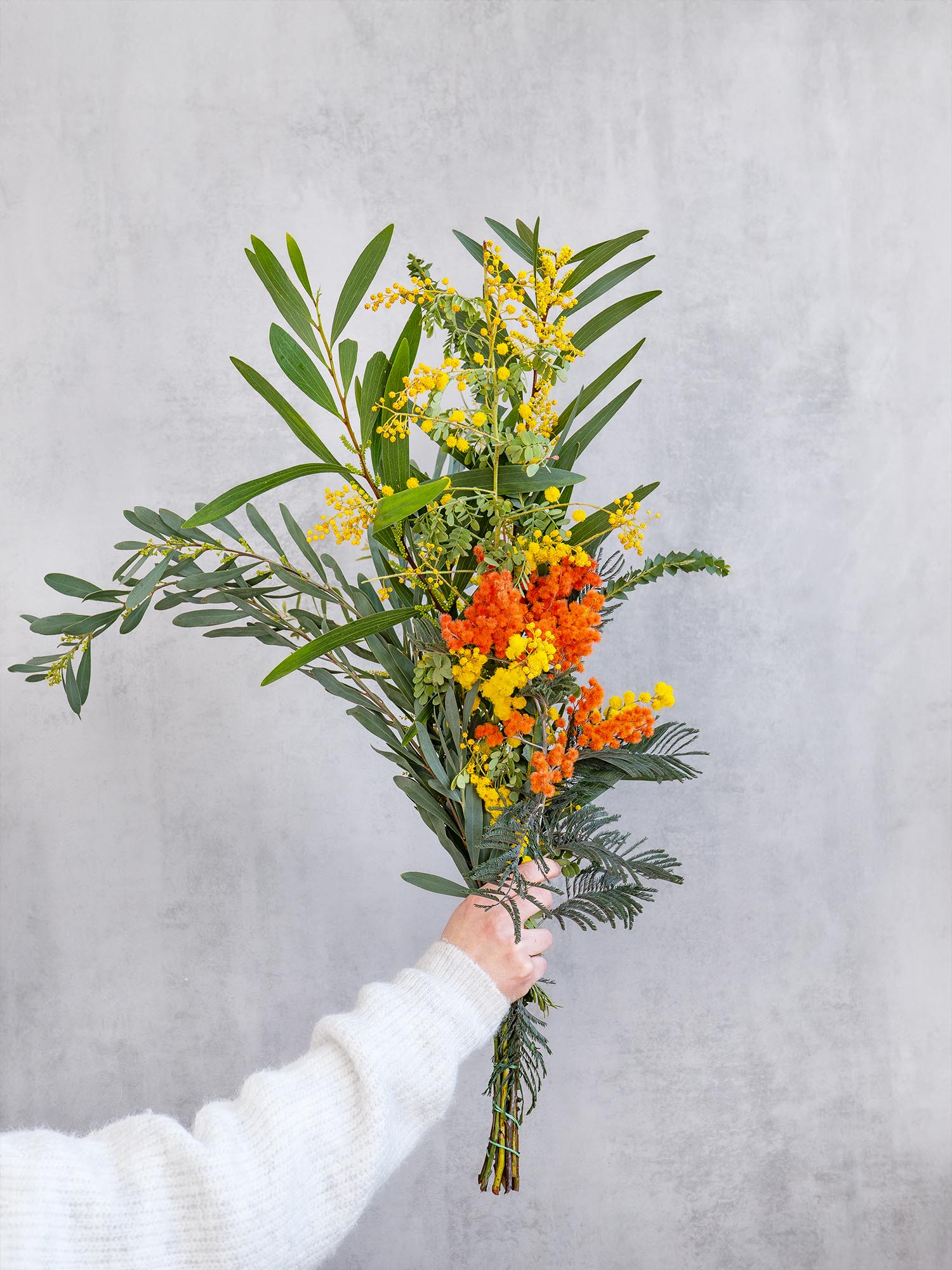 blumigo-exklusives-greenery-mimose-gemischt-bund-schnittblumen image 1