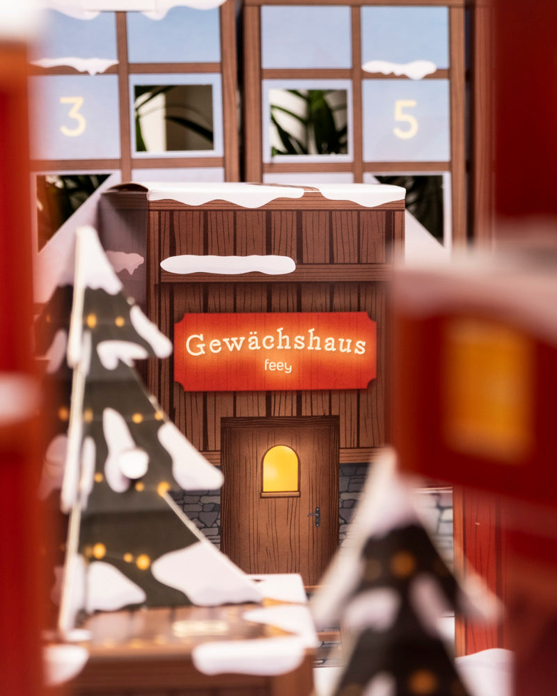 feey-variado-pflanzen-adventskalender-winterdorf-im-morgenrot-24-t-rchen image 6