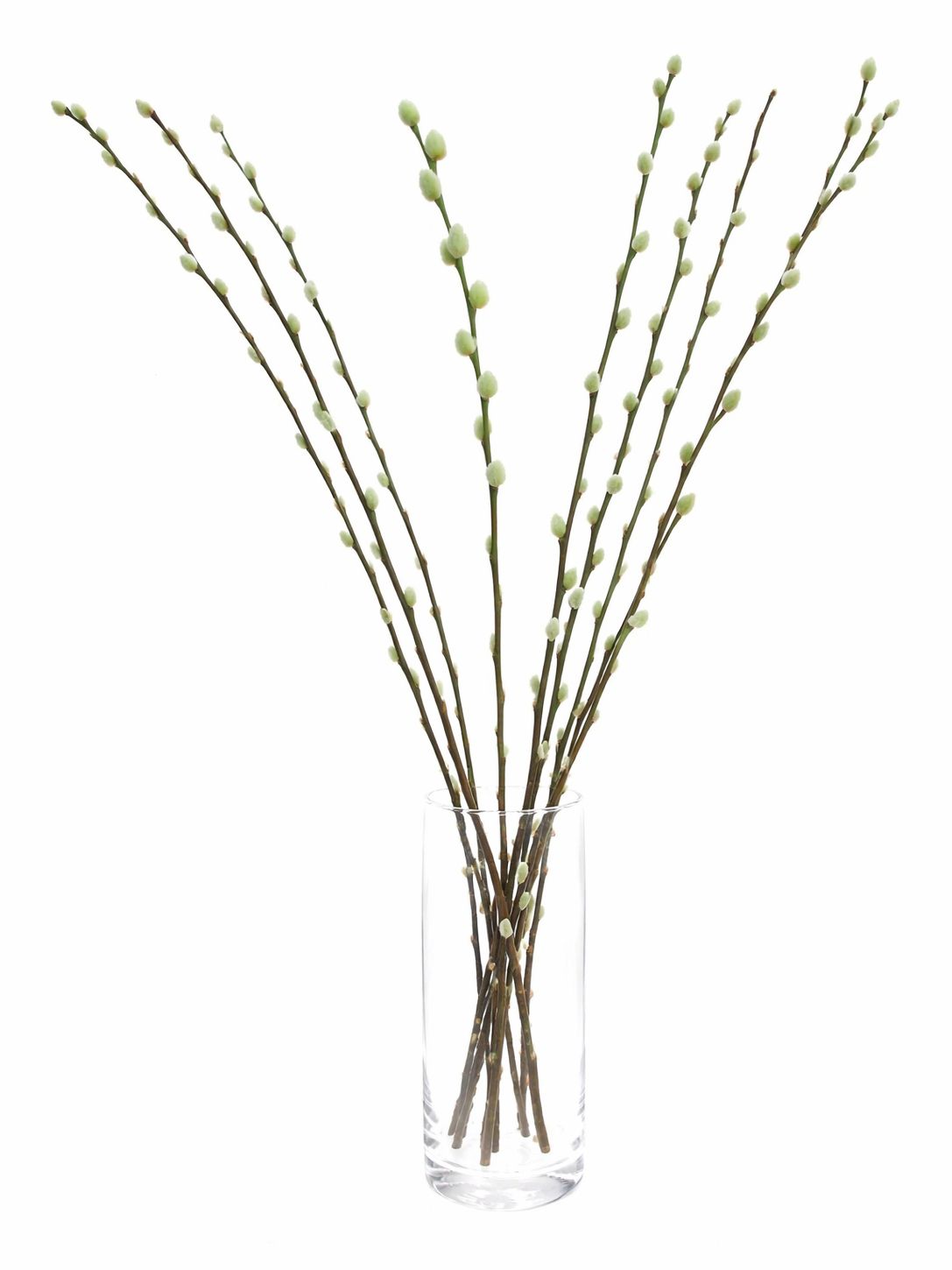 blumigo-weidenk-tzchen-gef-rbt-mintgr-n-zweige image 3