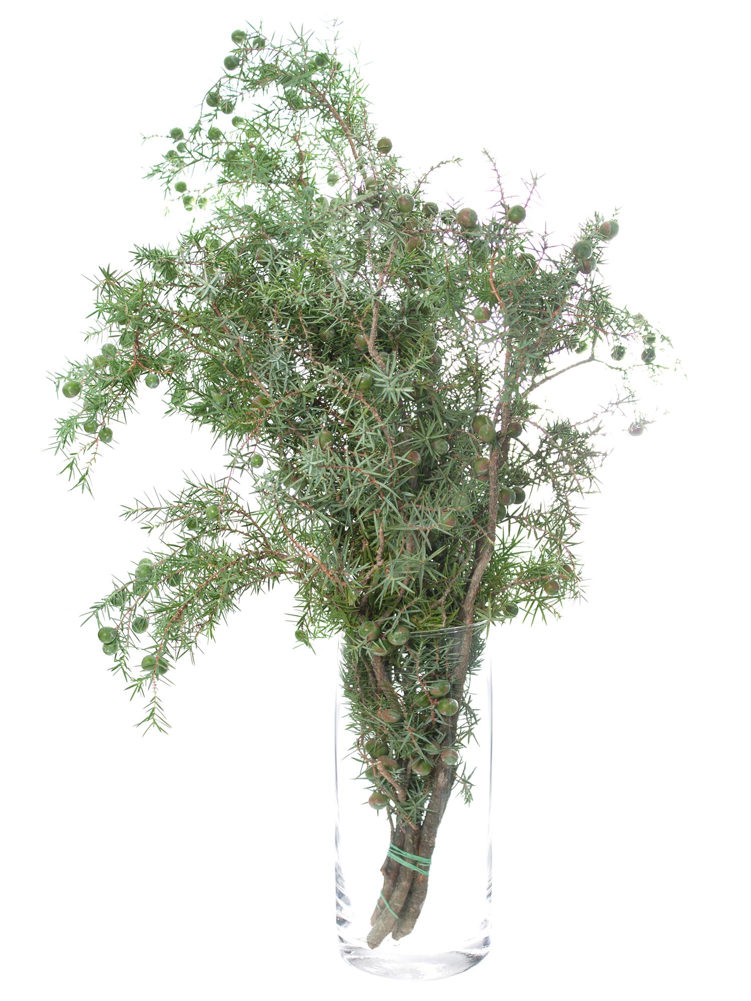 blumigo-winterliches-gr-n-wacholdergr-n-schnittgr-n-bund image 4