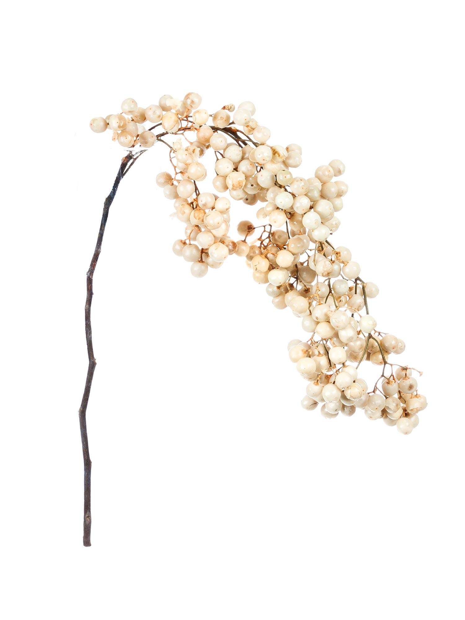 blumigo-pfefferbeeren-trockenblumen-wei-creme-gebleicht image 3