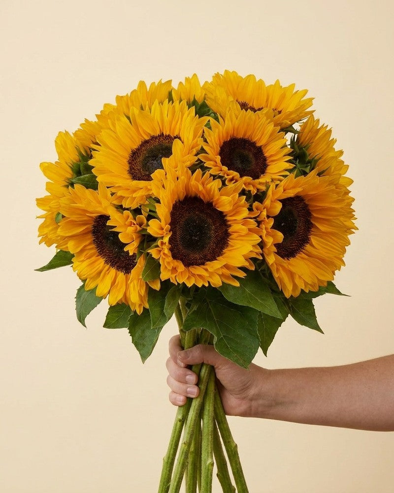 feey-sonnenblumen-strau-gelb-5-stk-schnittblumen image 4